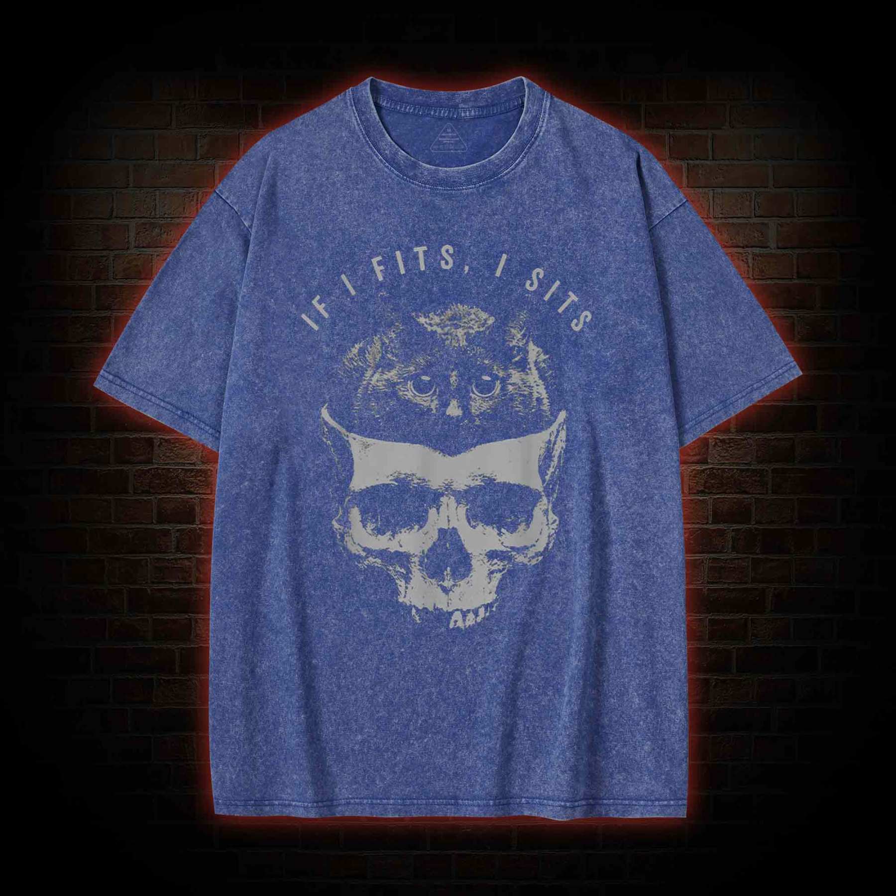 If I Fits I Sits Washed T-shirt
