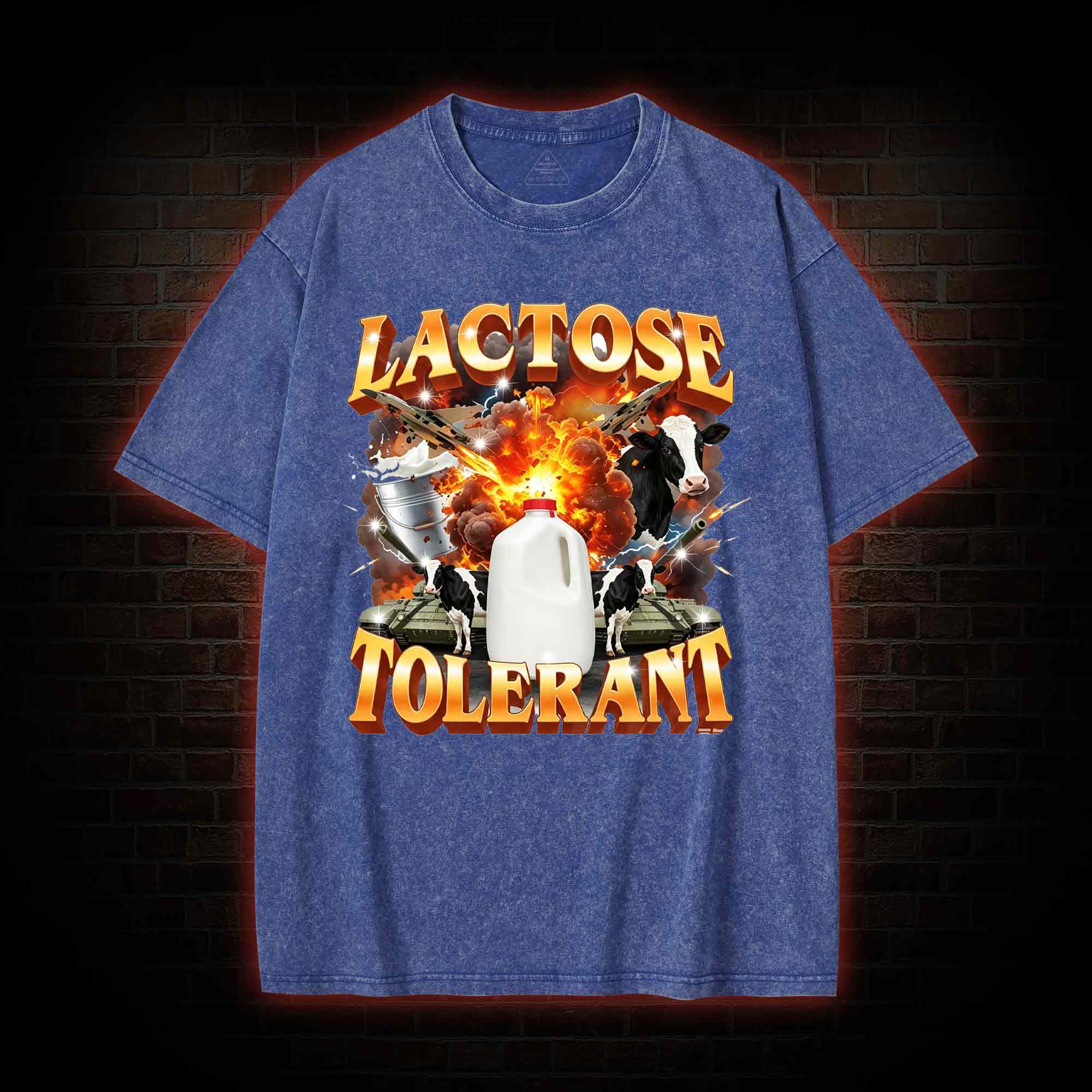 Lactose Tolerant Vintage Graphic Washed T-shirt