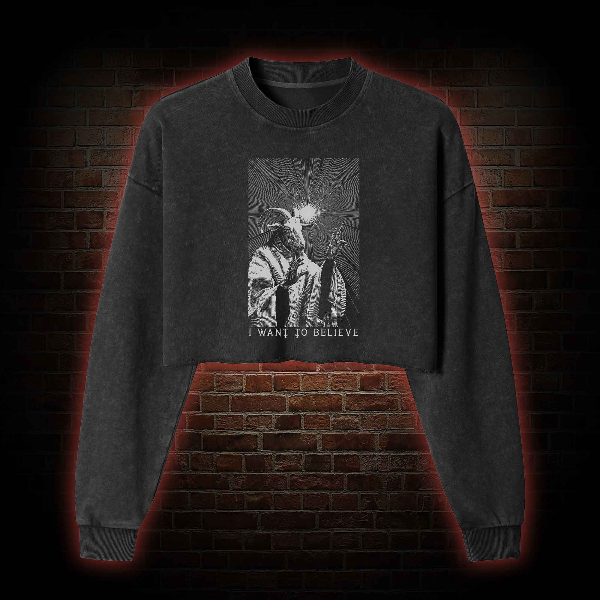 I Want to Believe Washed Cropped Sweatshirts