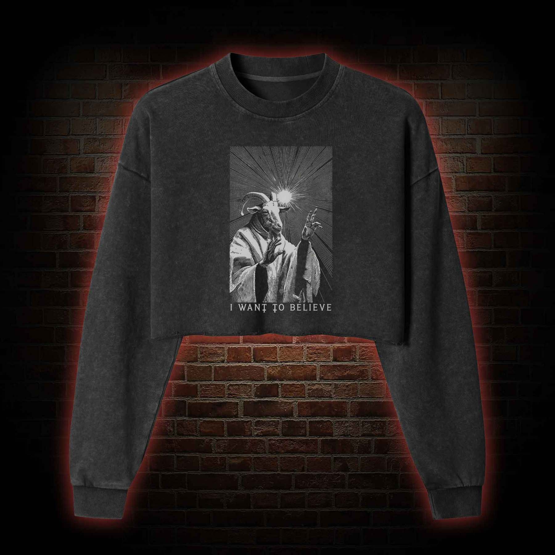 I Want to Believe Washed Cropped Sweatshirts