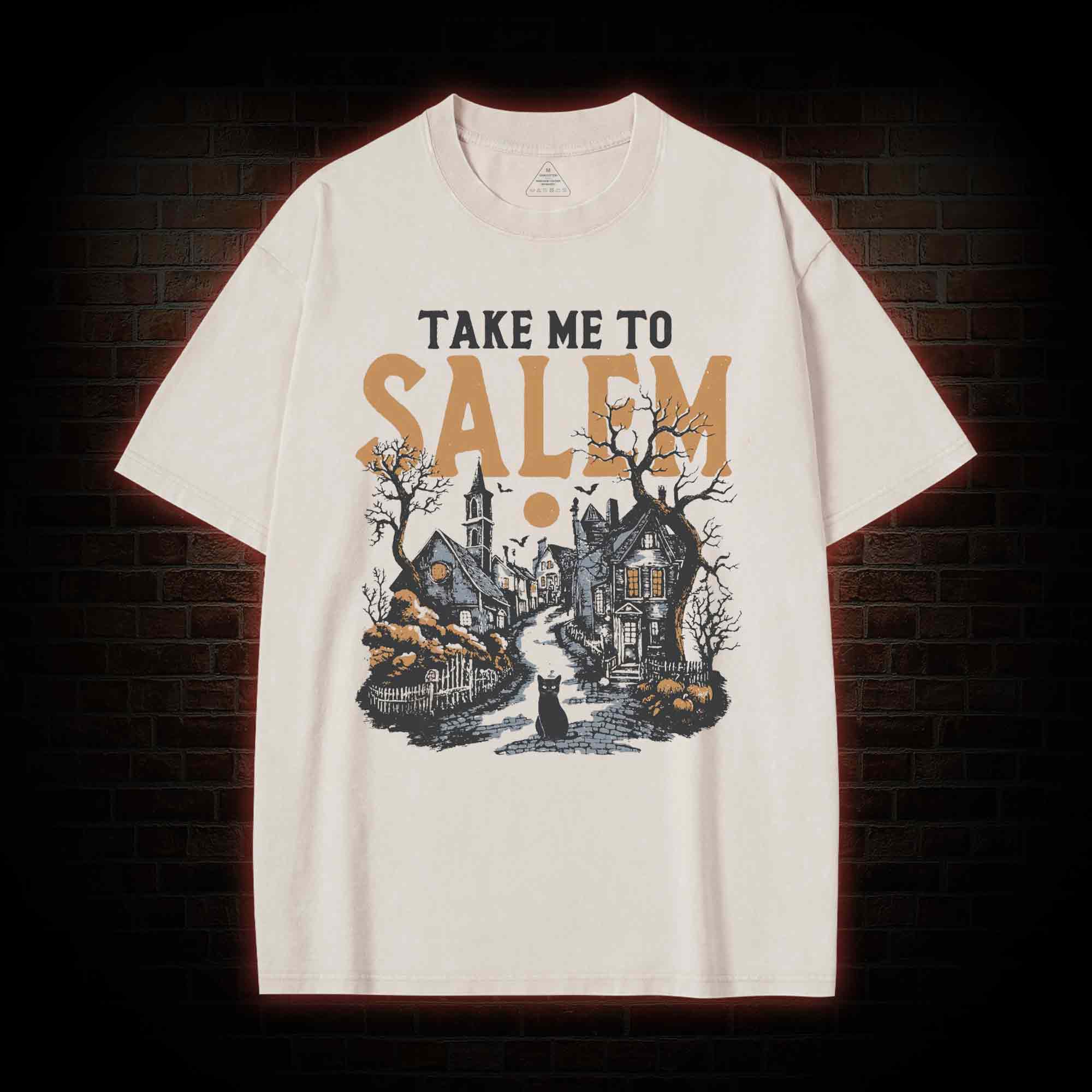 Take Me to Salem Washed T-shirt