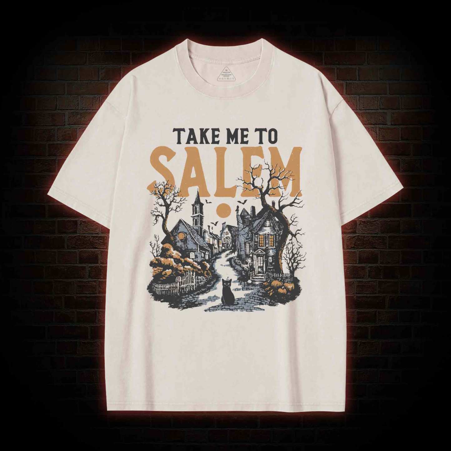 Take Me to Salem Washed T-shirt