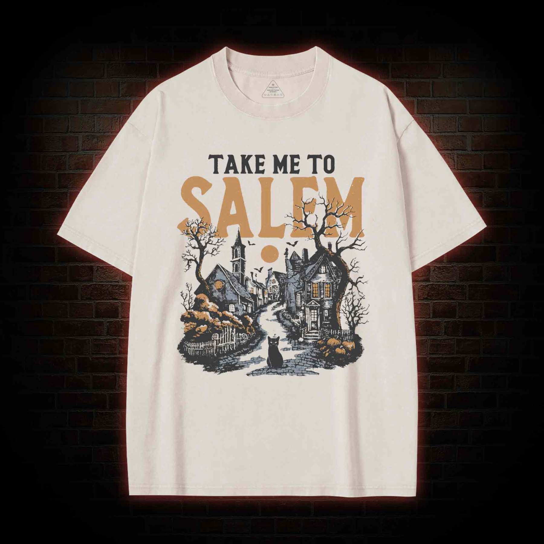 Take Me to Salem Washed T-shirt