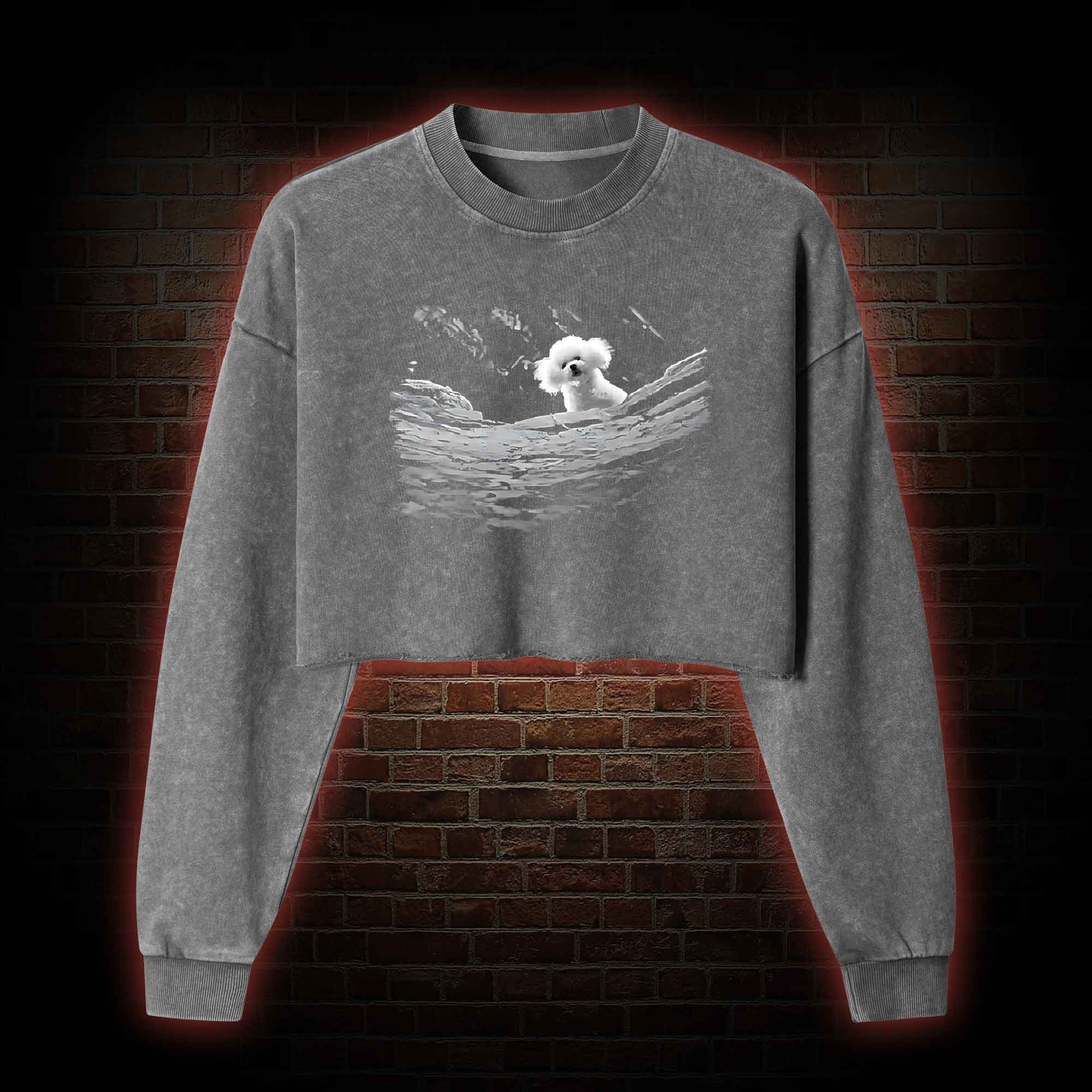 Precious Dog Washed Cropped Sweatshirts