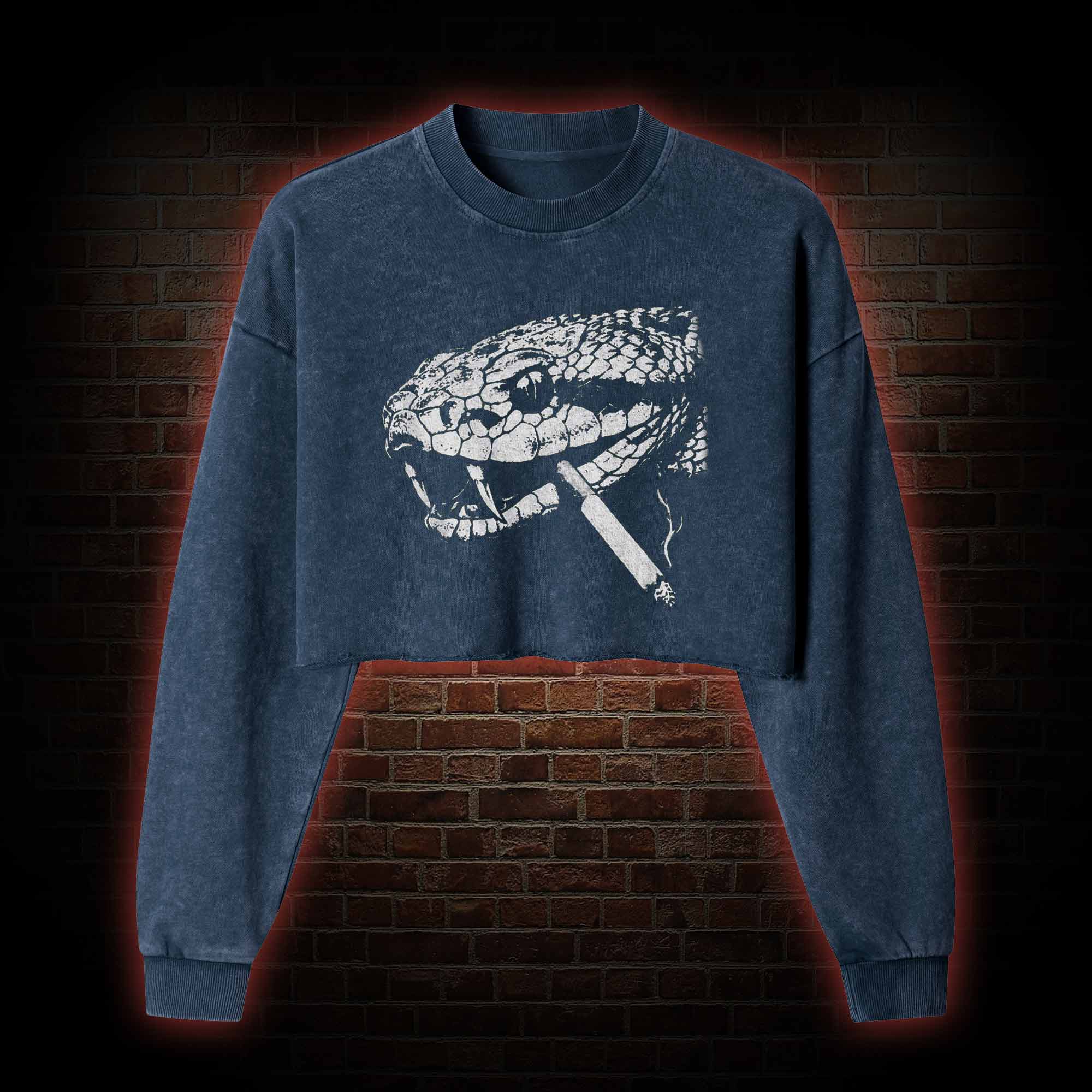 Snake Smoke Washed Cropped Sweatshirts