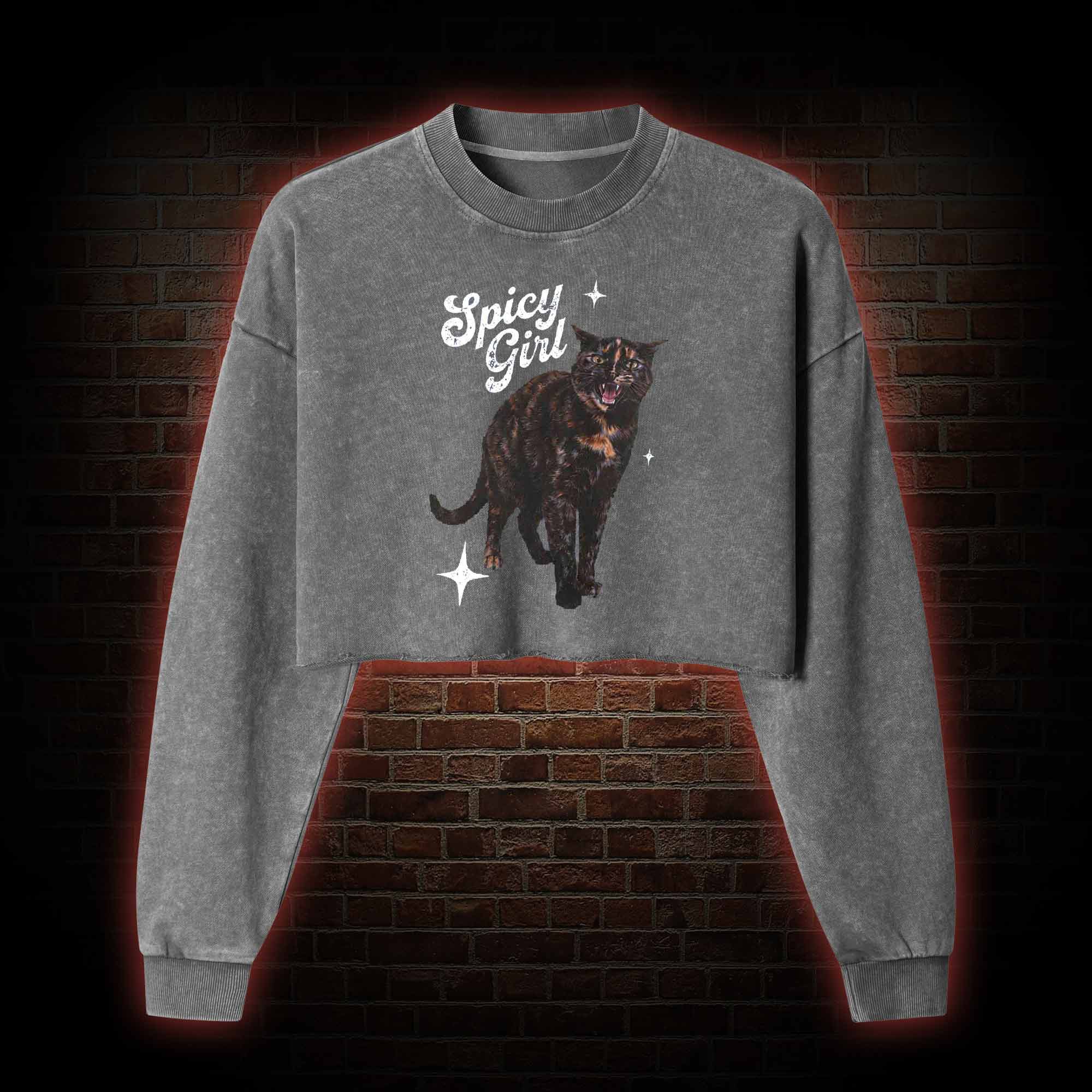 Spicy Girl Washed Cropped Sweatshirts