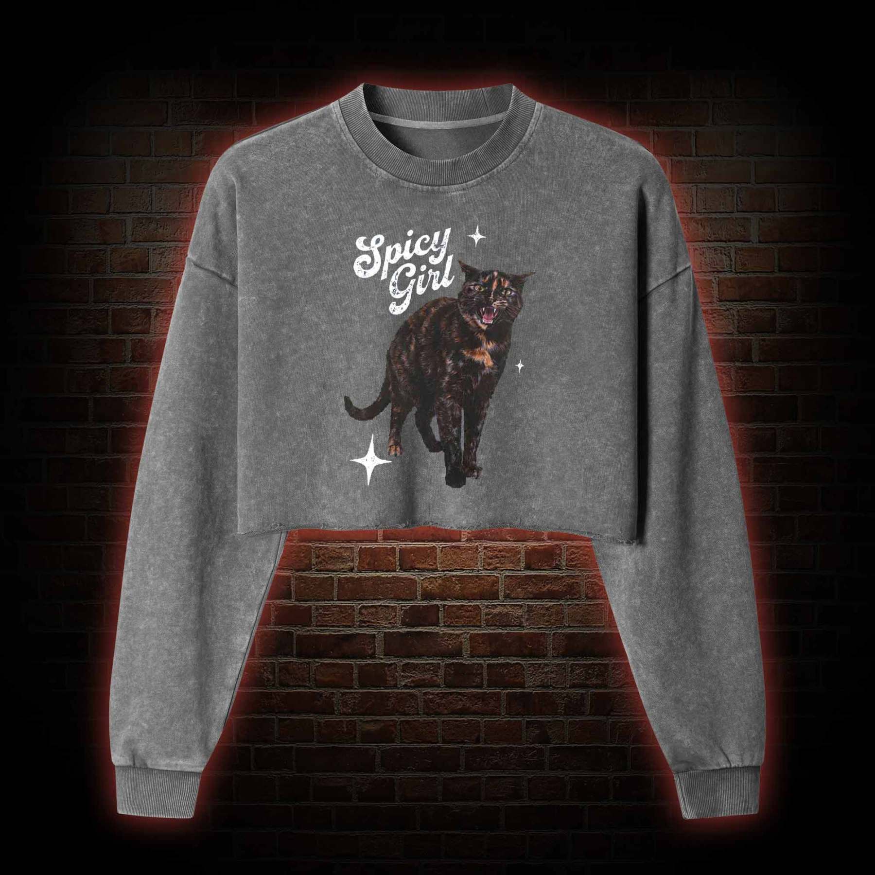 Spicy Girl Washed Cropped Sweatshirts