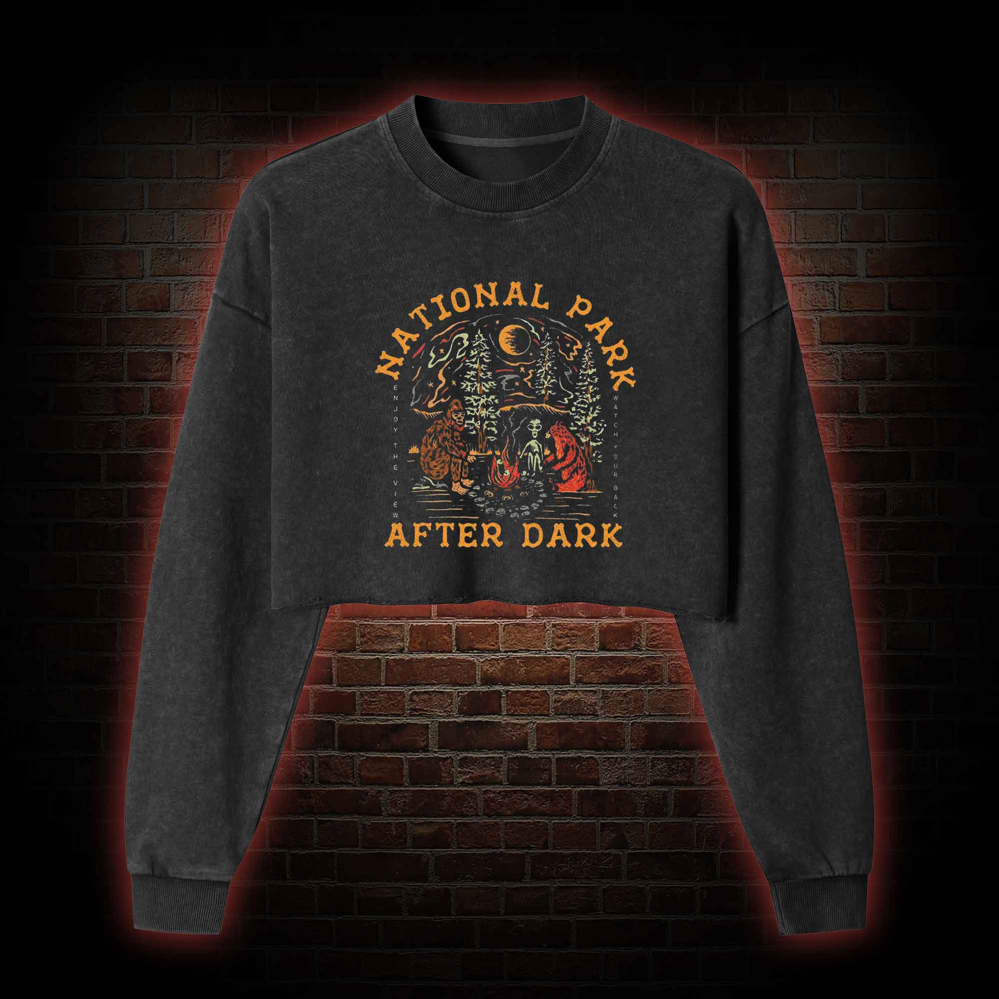 National Park After Dark Washed Cropped Sweatshirts