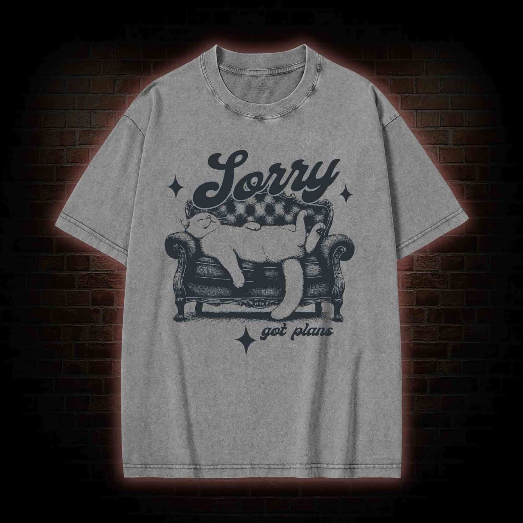 Sorry Got Plan Washed T-shirt