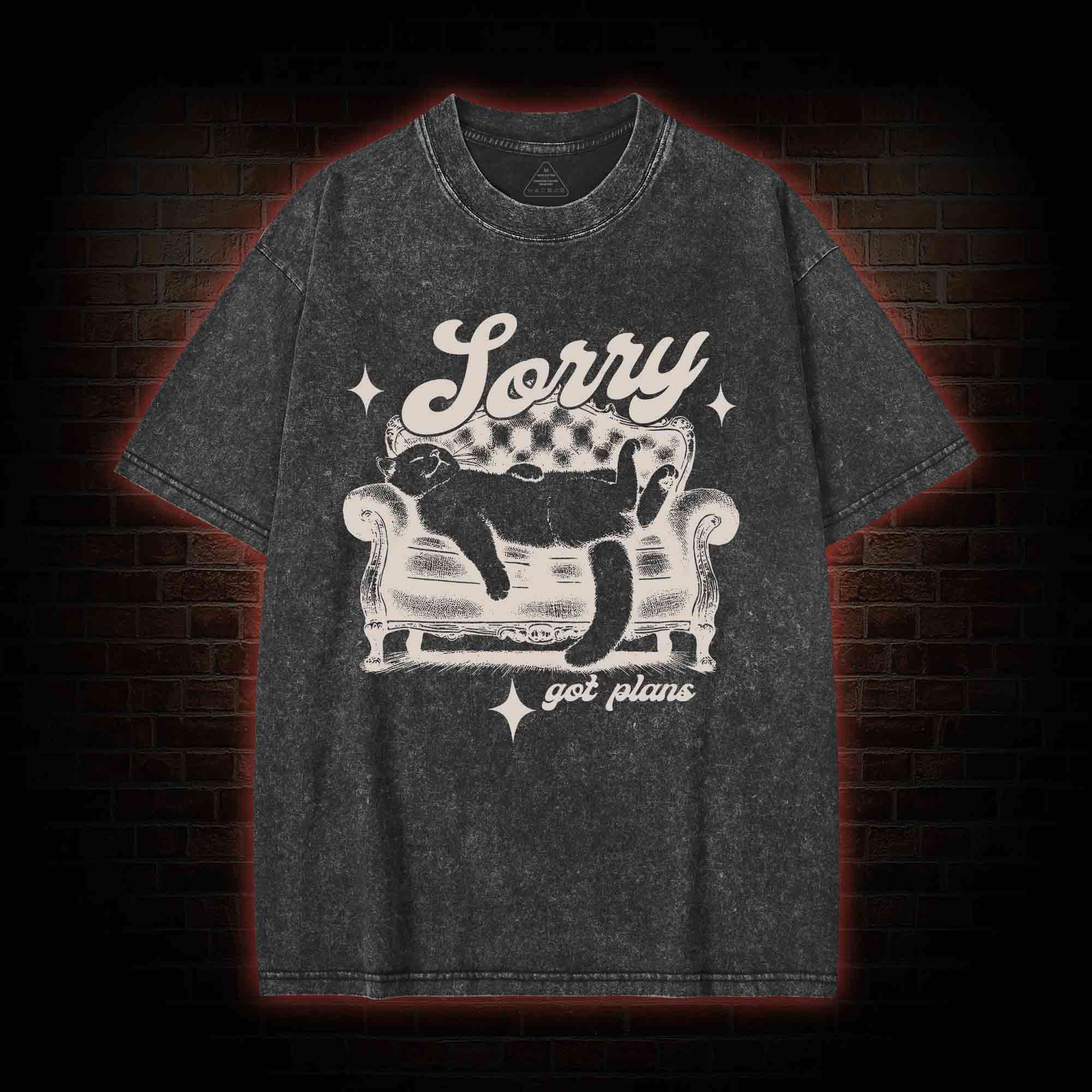 Sorry Got Plan Washed T-shirt