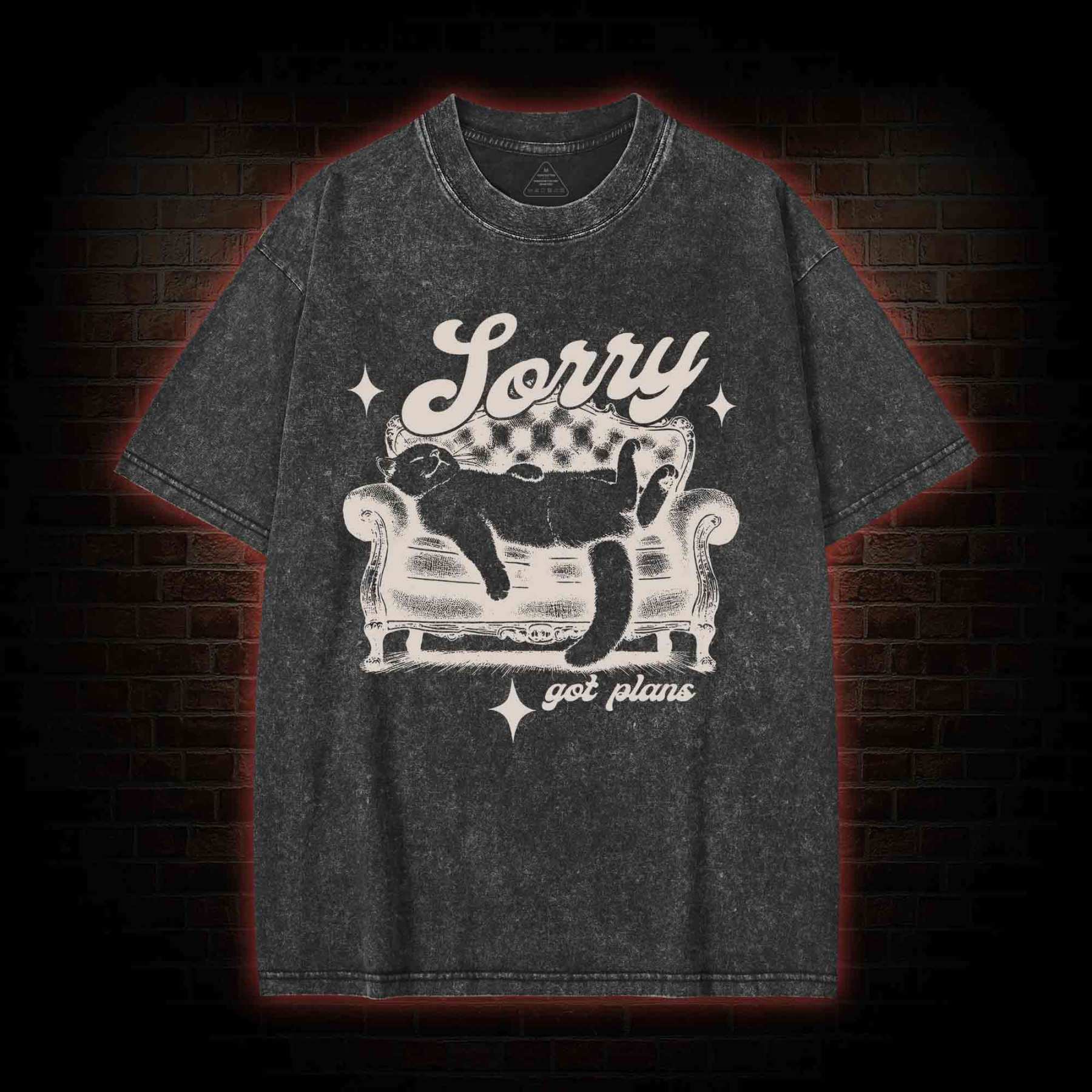 Sorry Got Plan Washed T-shirt