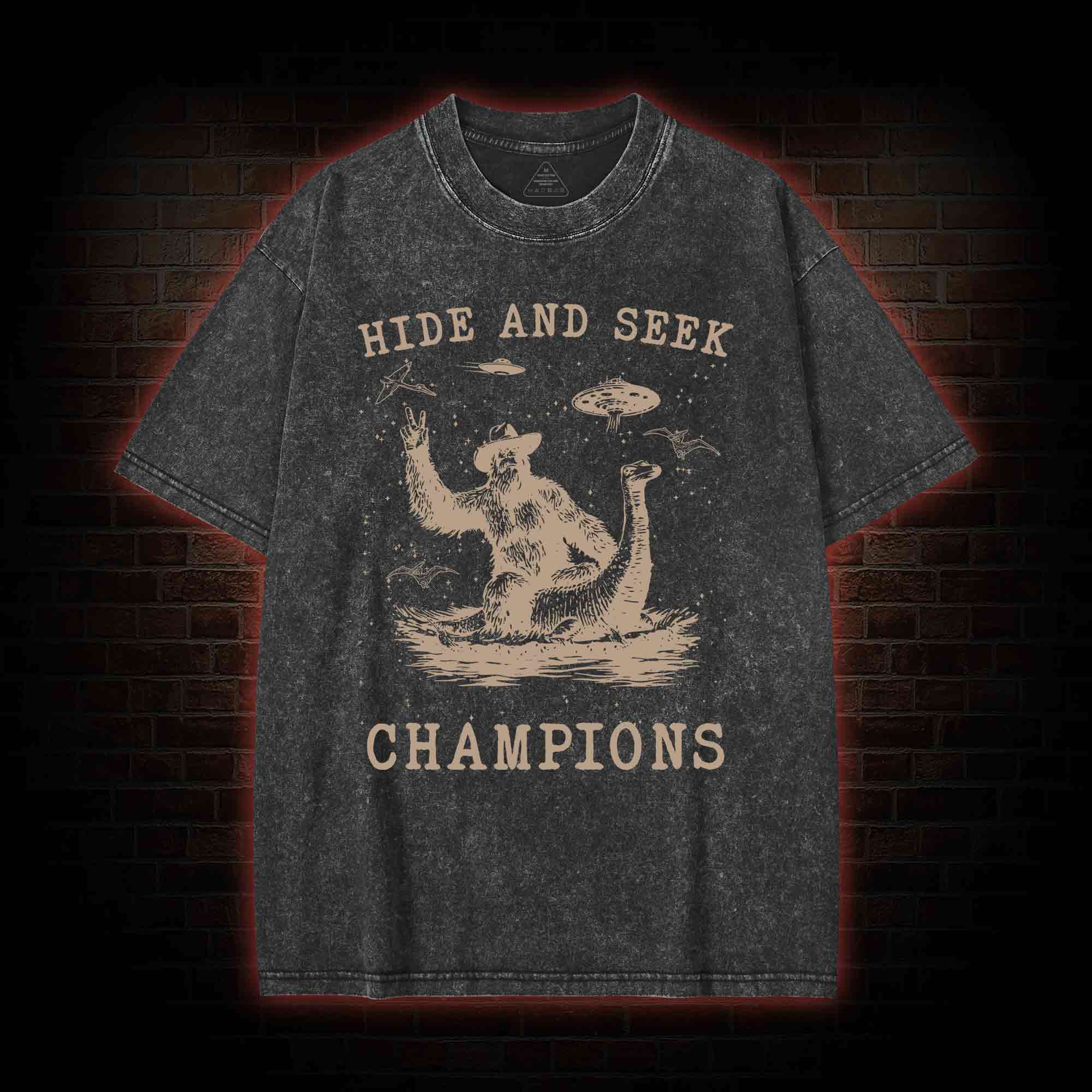 Hide & Seek Champion Washed T-shirt