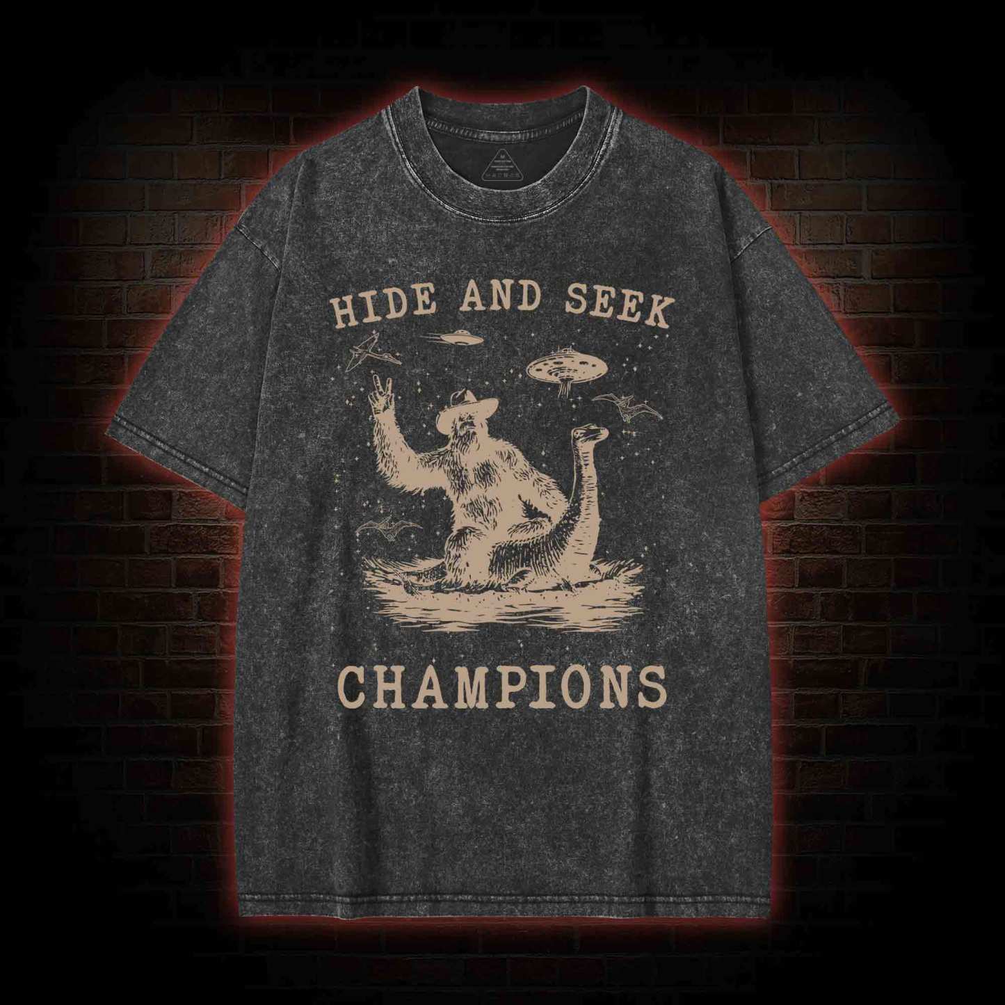Hide & Seek Champion Washed T-shirt