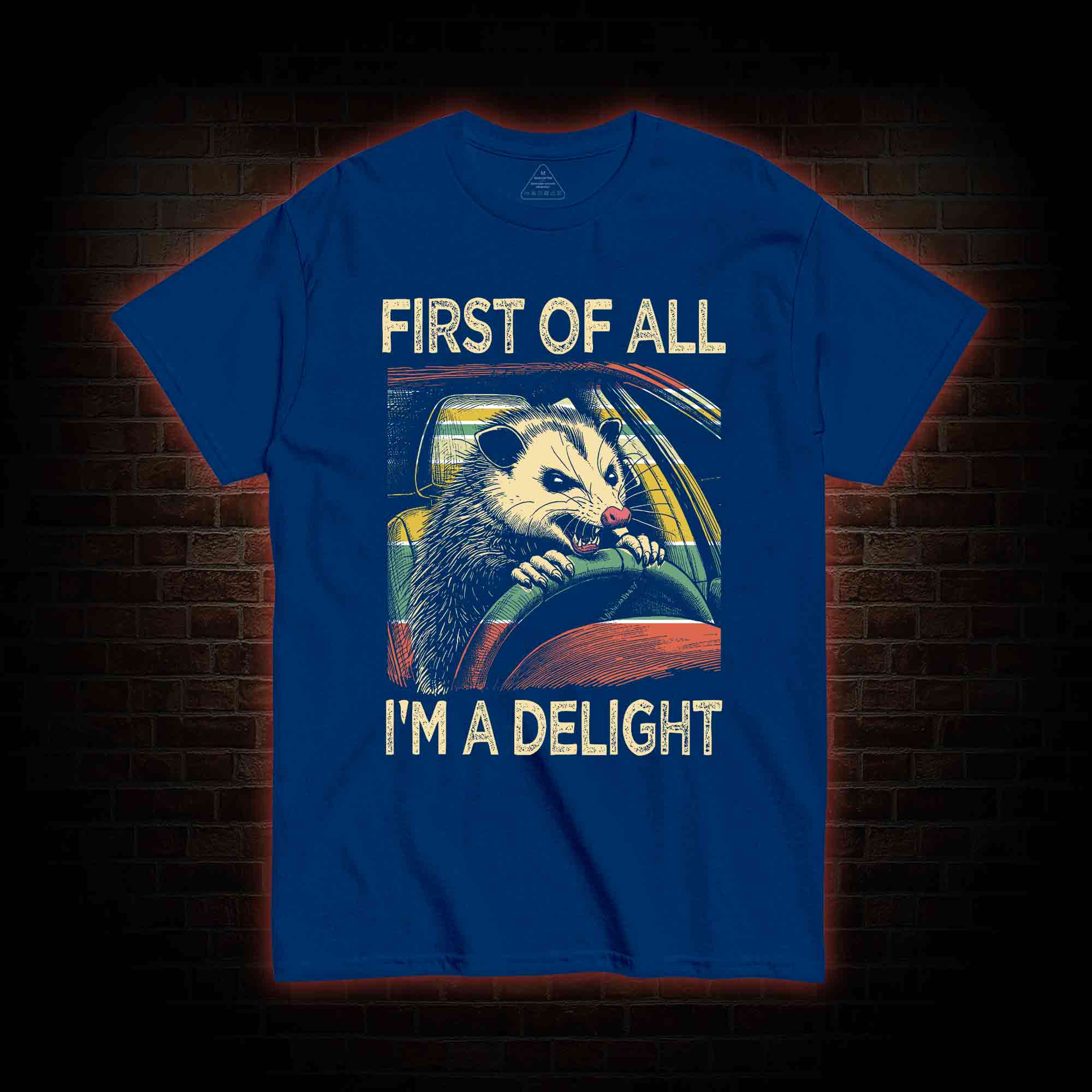 First Of All I'm A Delight T-shirt