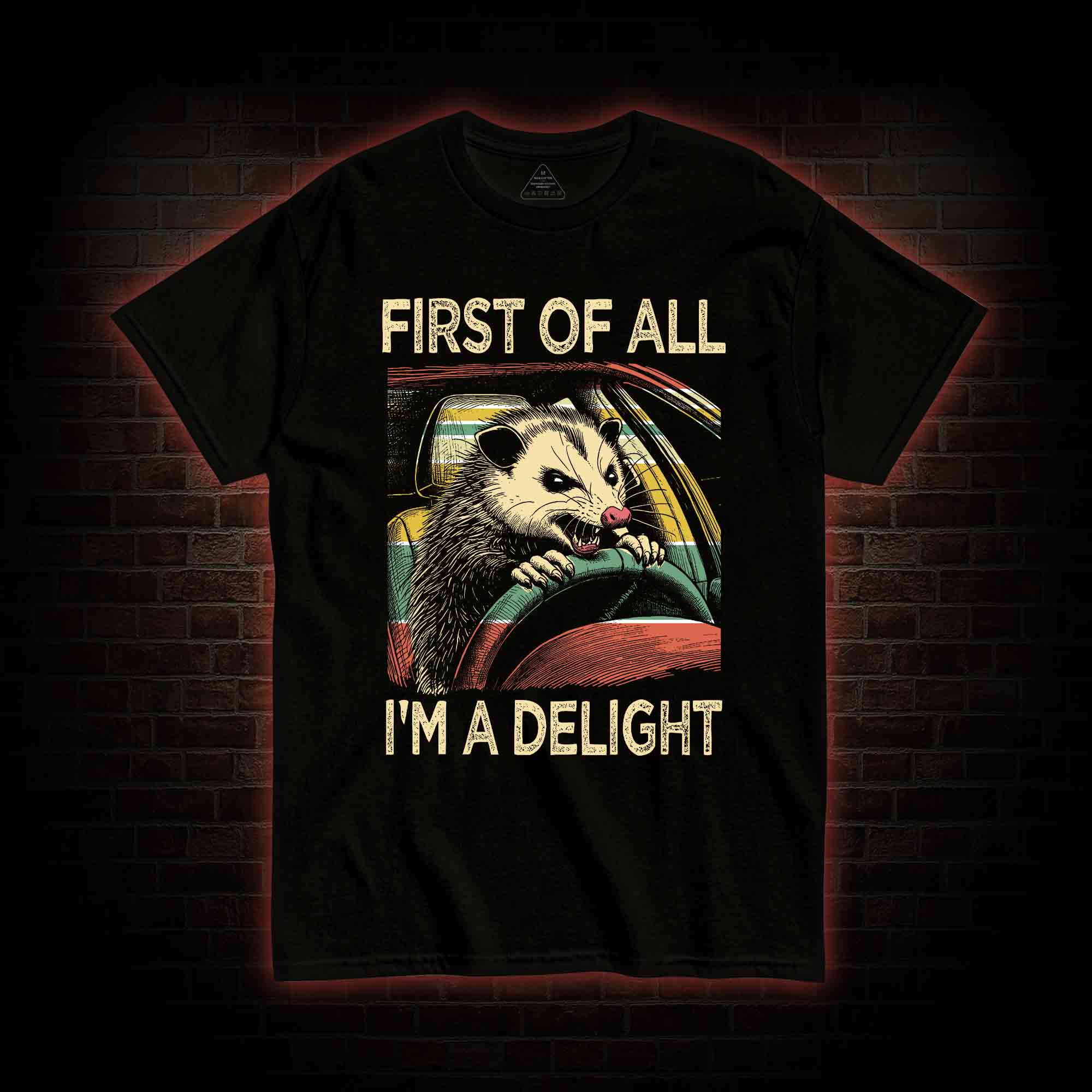 First Of All I'm A Delight T-shirt
