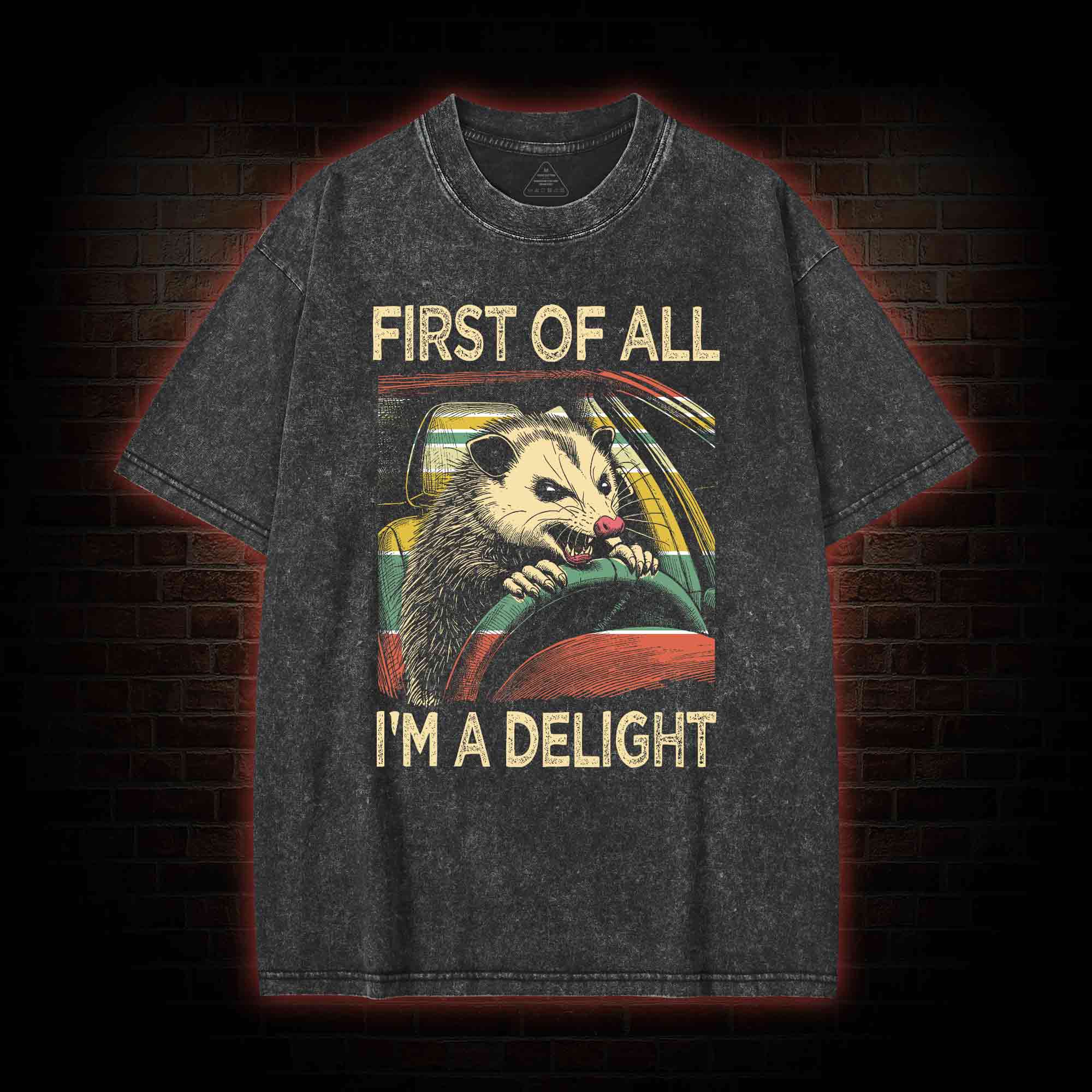 First Of All I'm A Delight Washed T-shirt