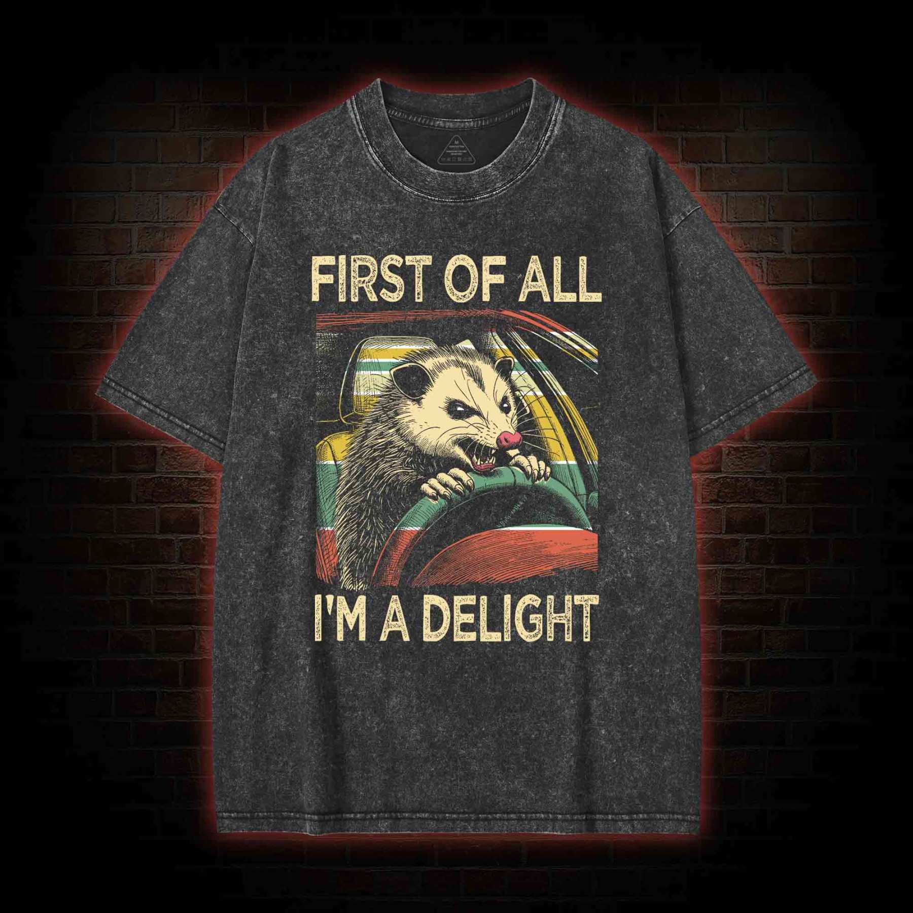 First Of All I'm A Delight Washed T-shirt