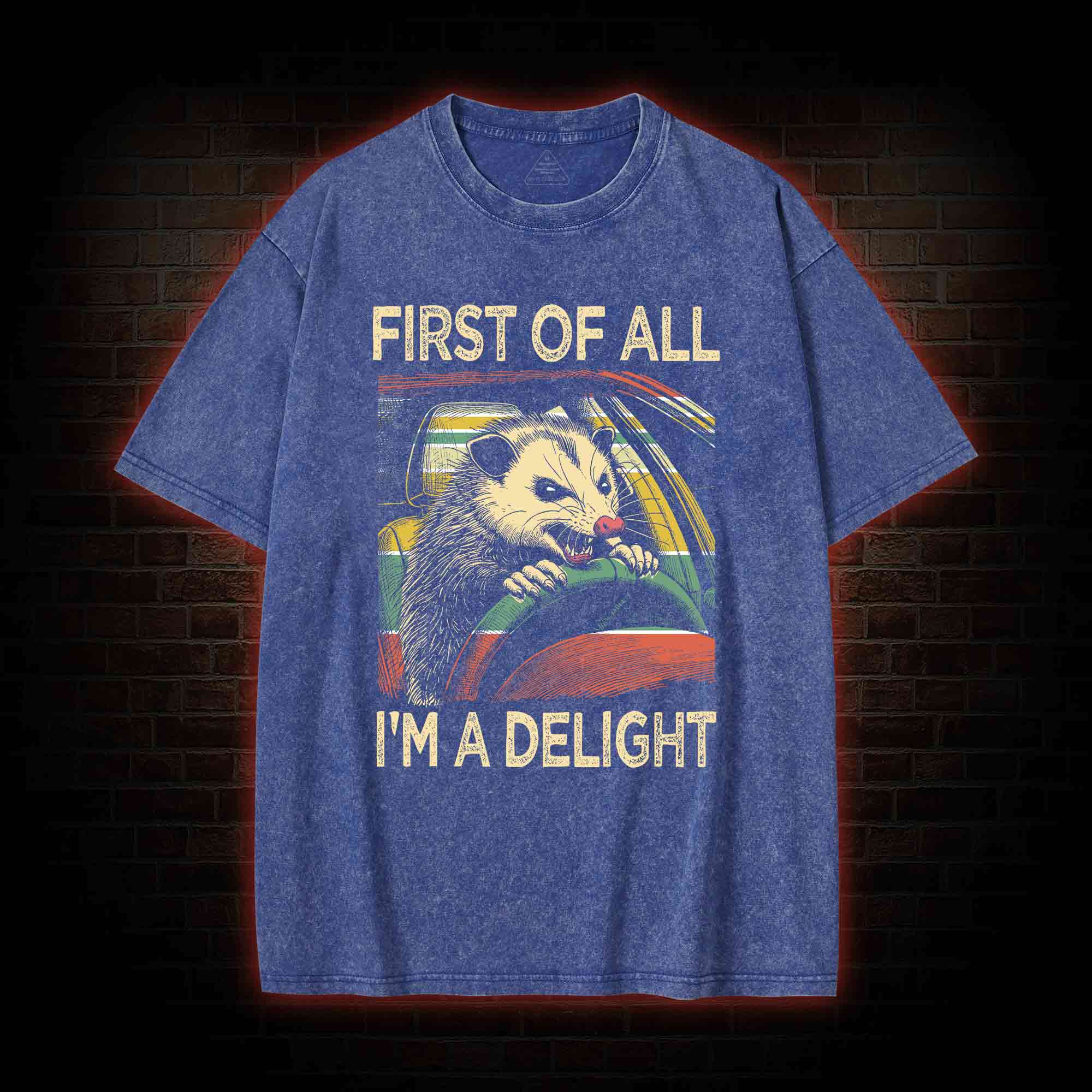 First Of All I'm A Delight Washed T-shirt