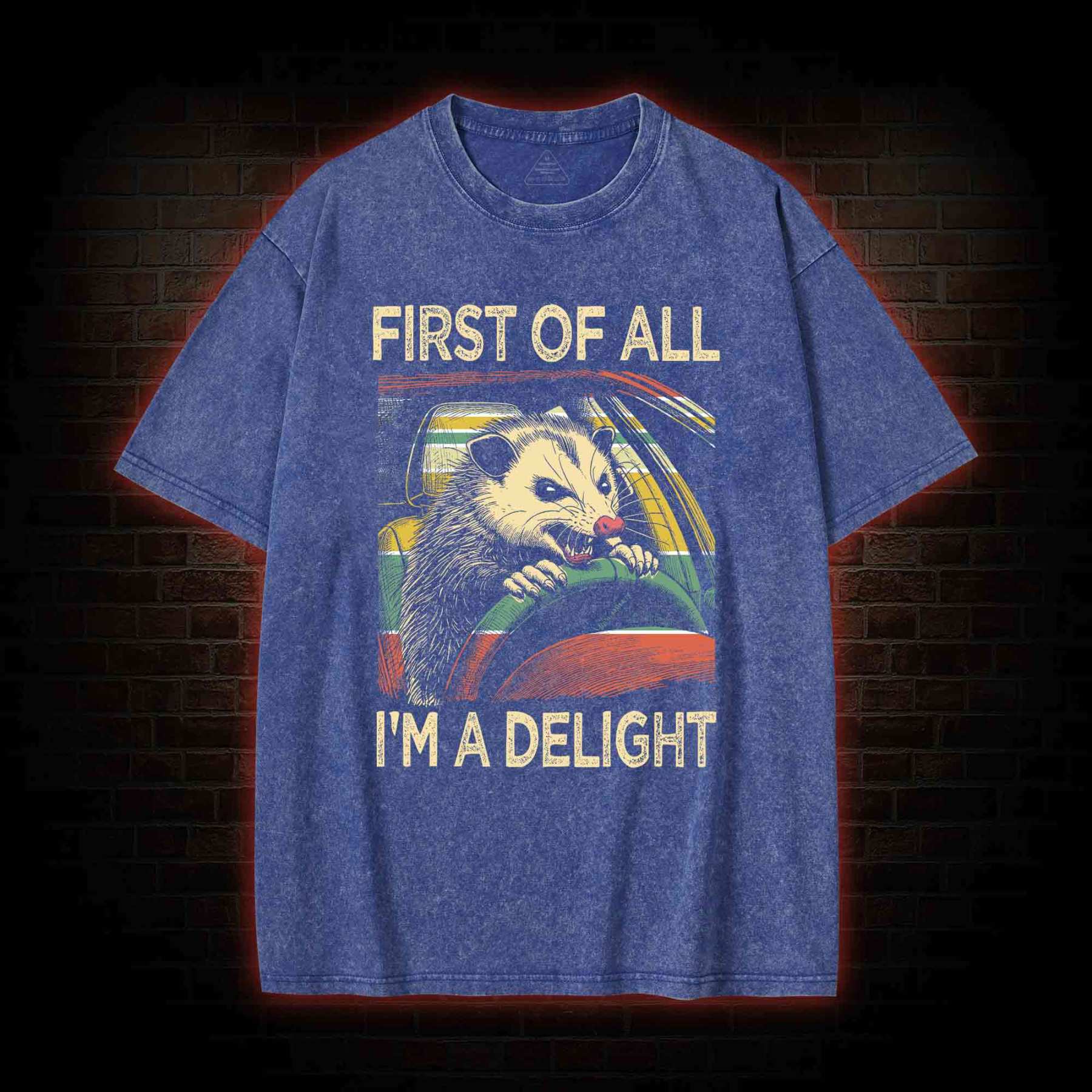 First Of All I'm A Delight Washed T-shirt