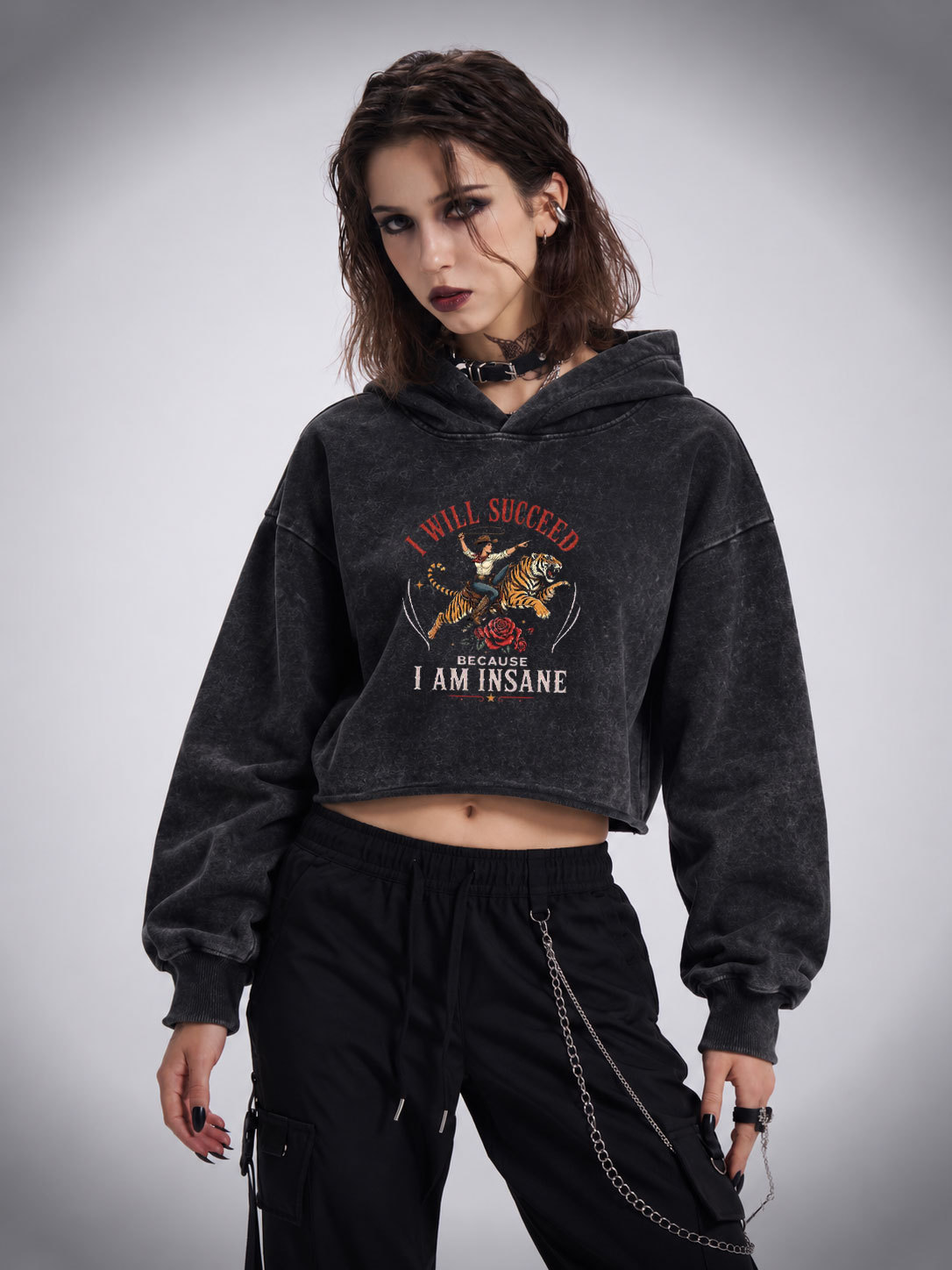 I Will Succeed Because I am Insane Washed Cropped Hoodie