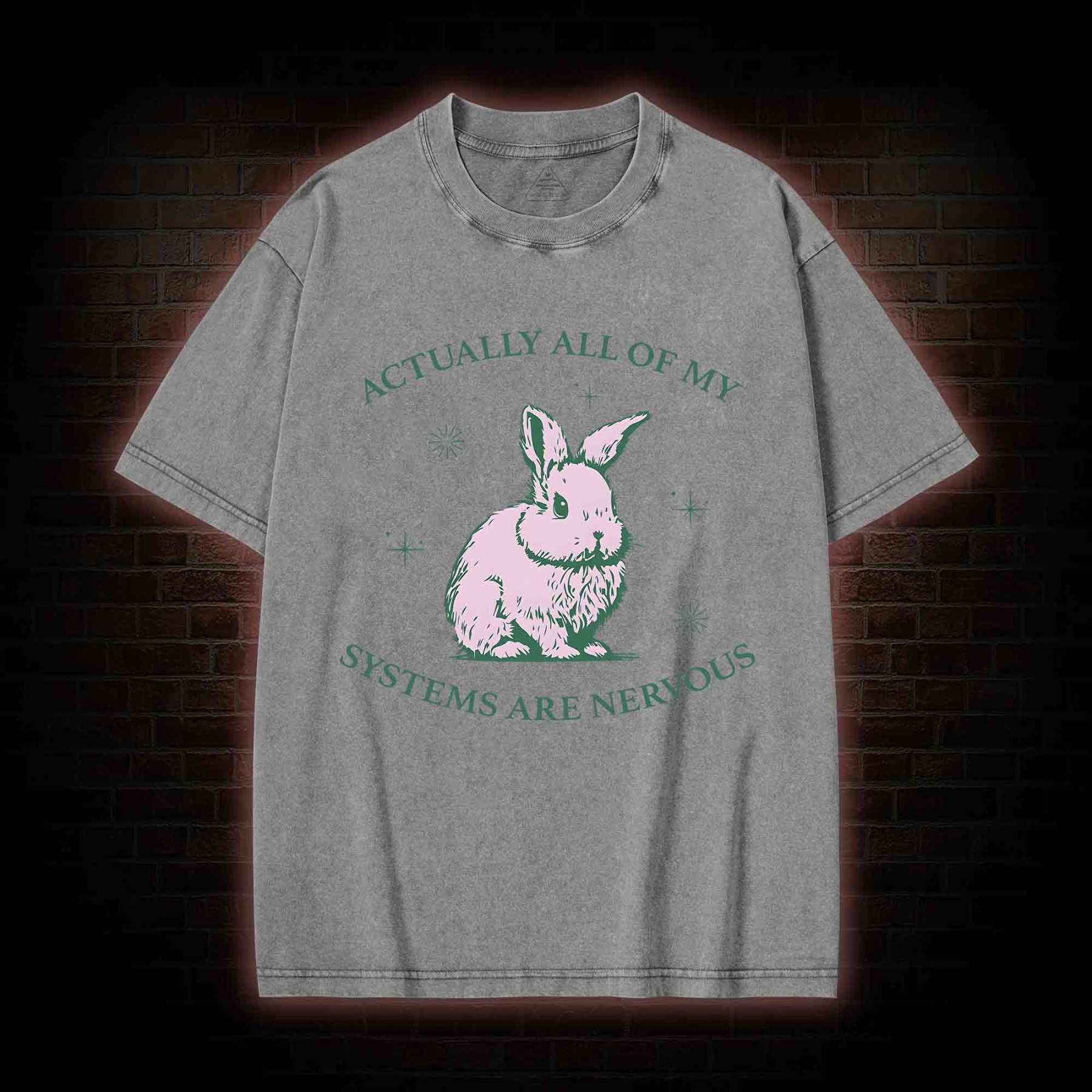 Actually All Of My Systems Are Nervous Washed T-shirt