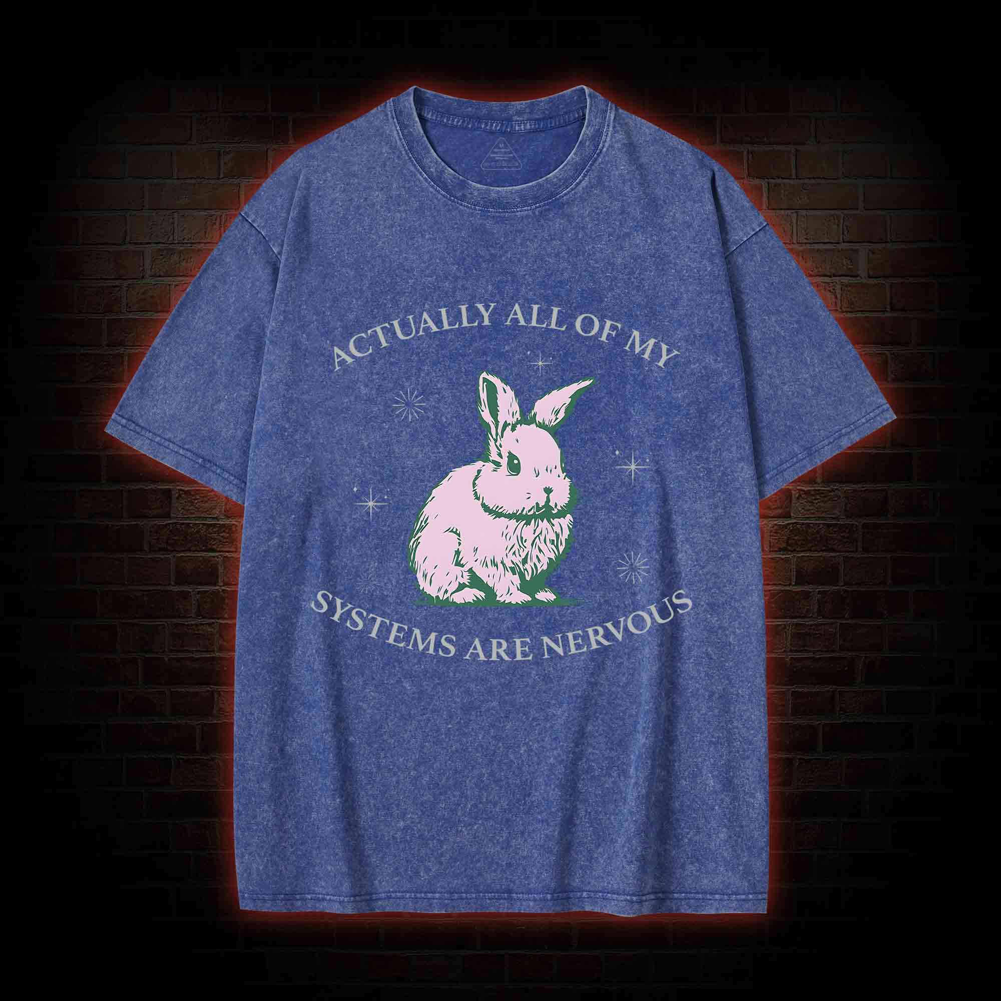 Actually All Of My Systems Are Nervous Washed T-shirt