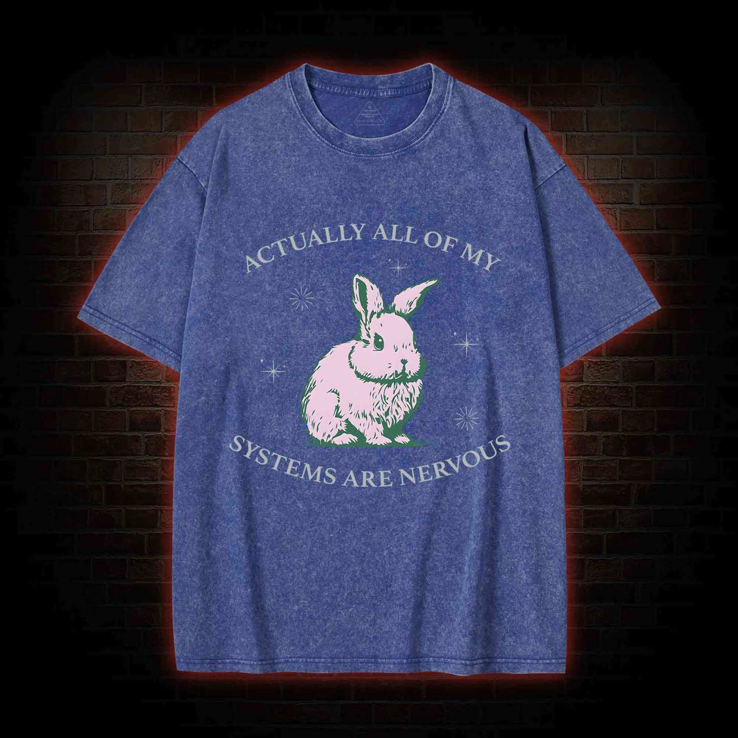 Actually All Of My Systems Are Nervous Washed T-shirt