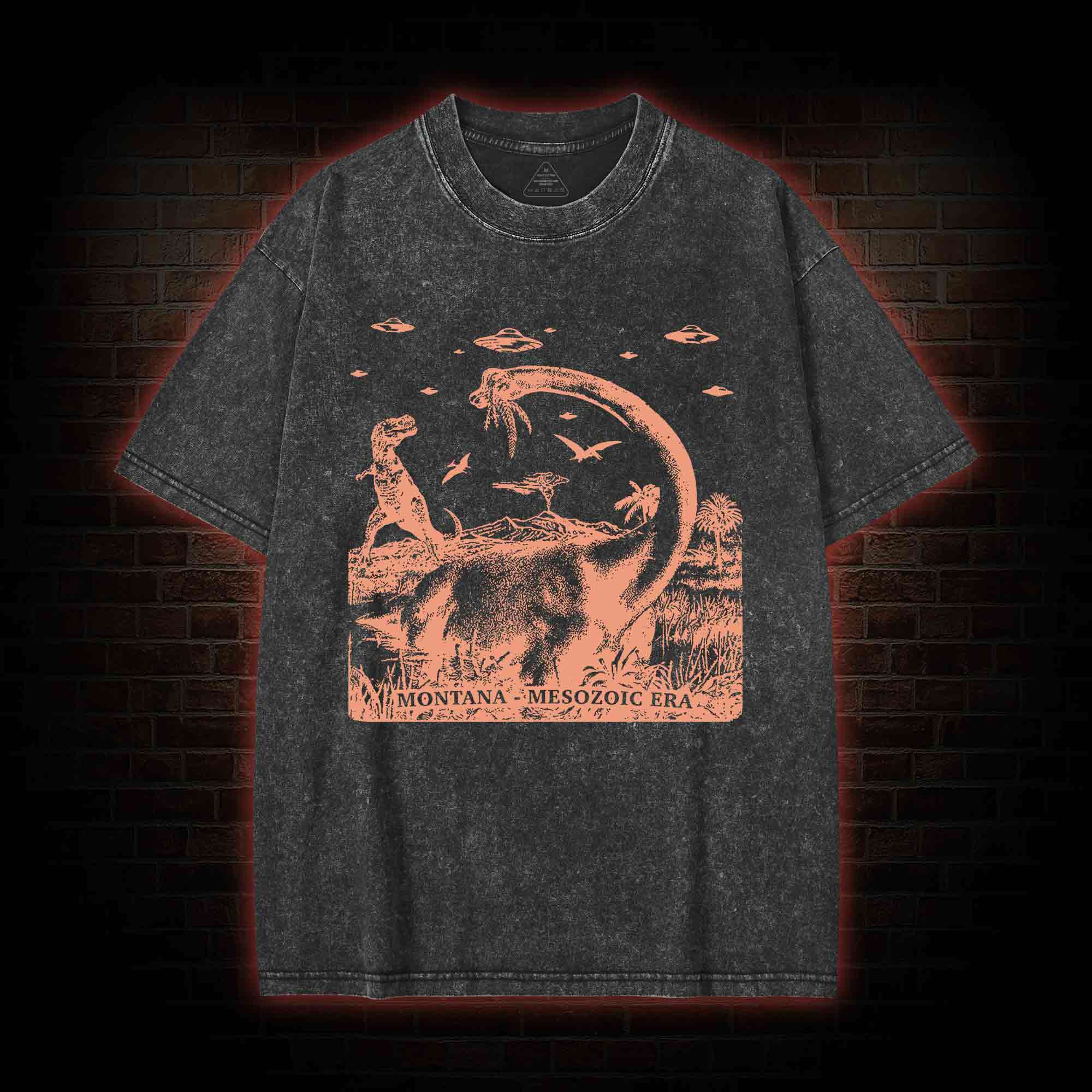 Montana Mesozoic Era Washed T-shirt