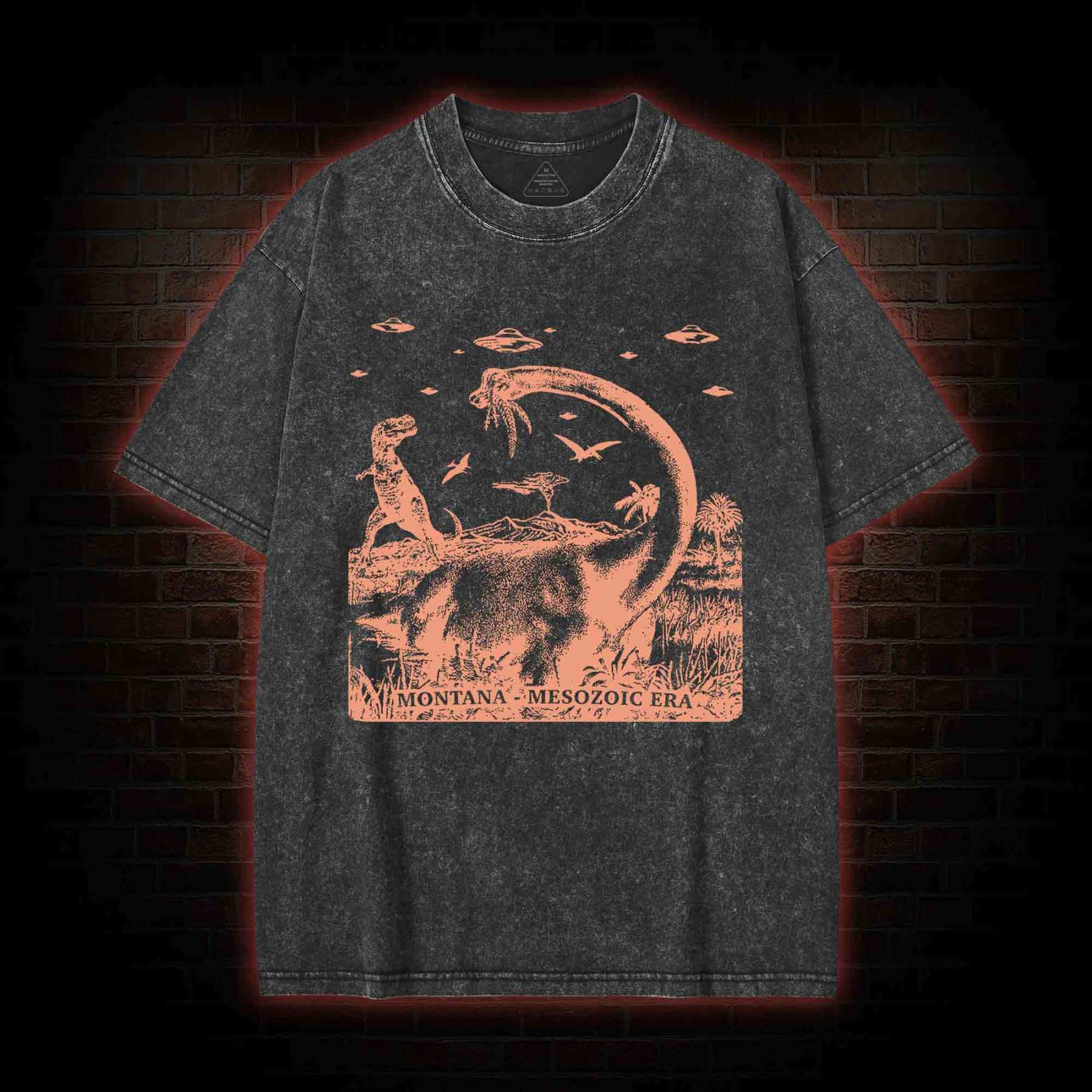 Montana Mesozoic Era Washed T-shirt