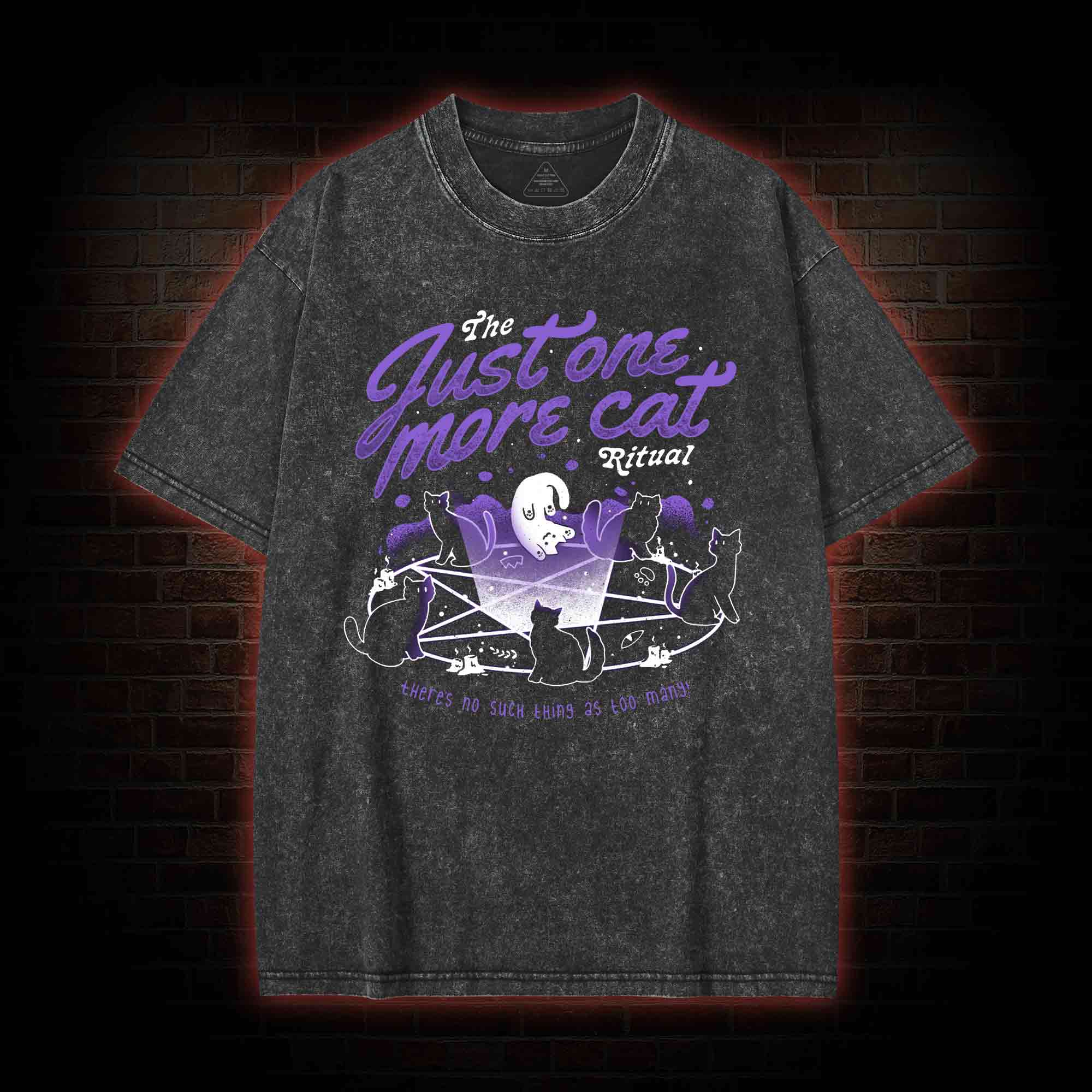 Just One More Cat Ritual Washed T-shirt