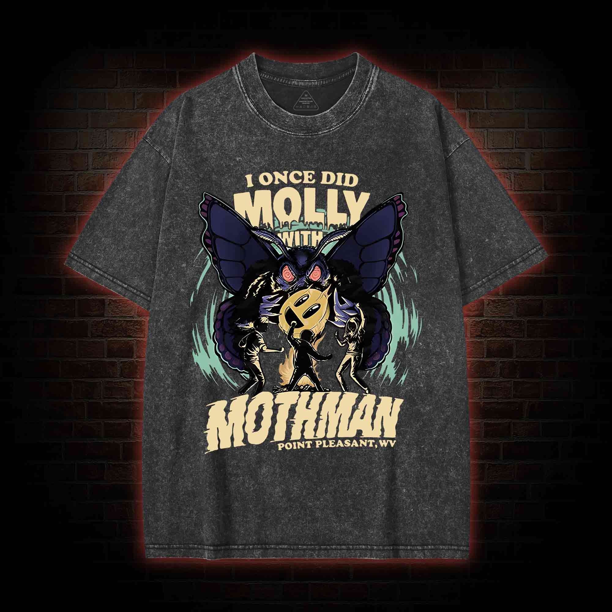 I Once Did Molly With Mothman Washed T-shirt