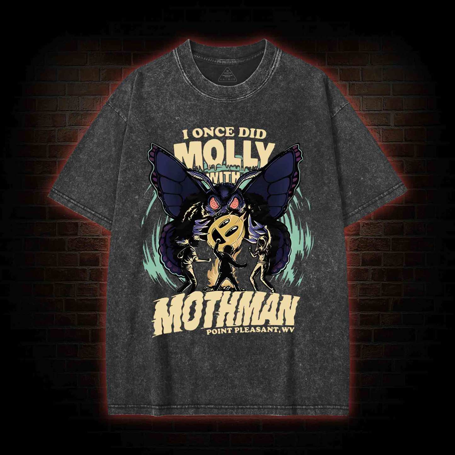 I Once Did Molly With Mothman Washed T-shirt