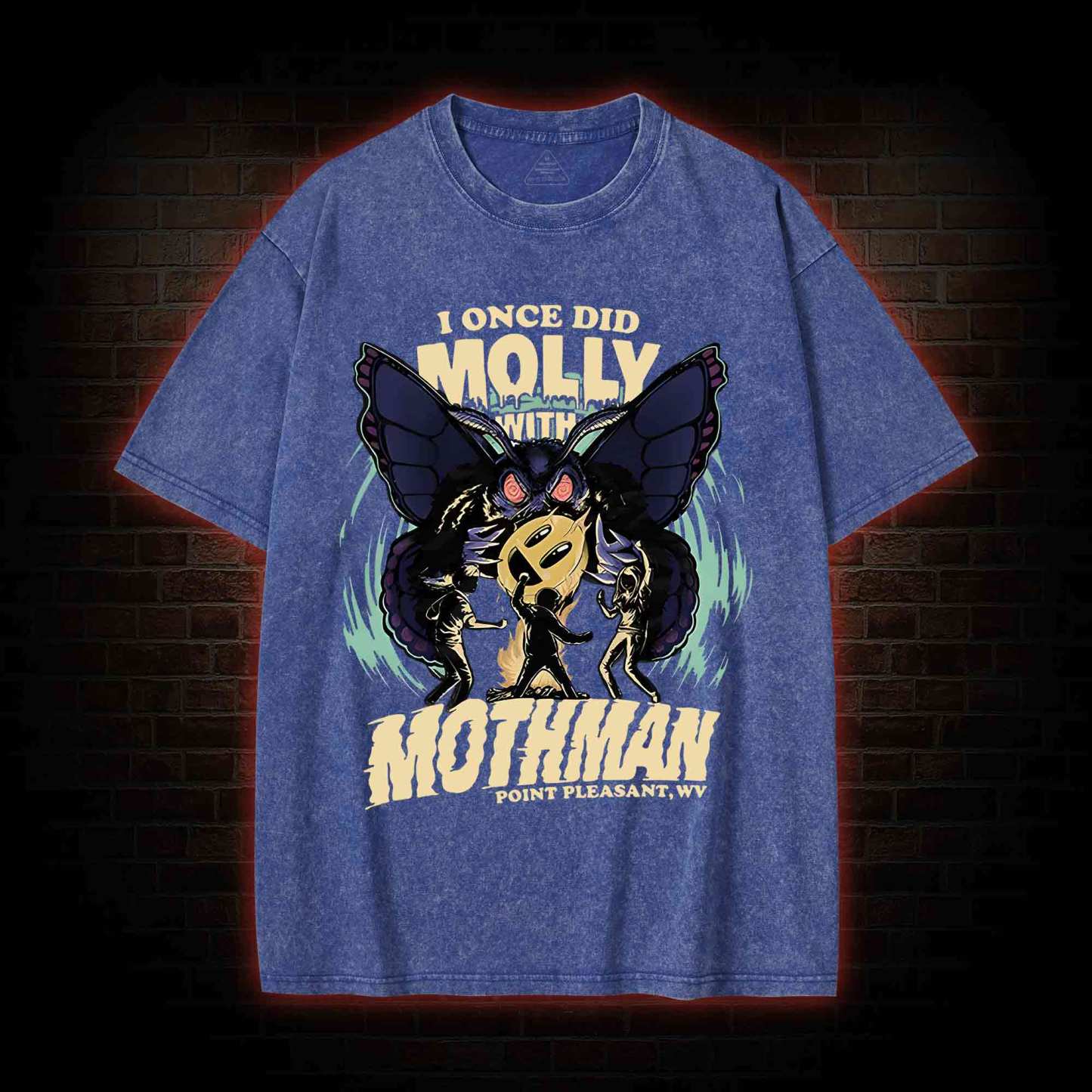 I Once Did Molly With Mothman Washed T-shirt