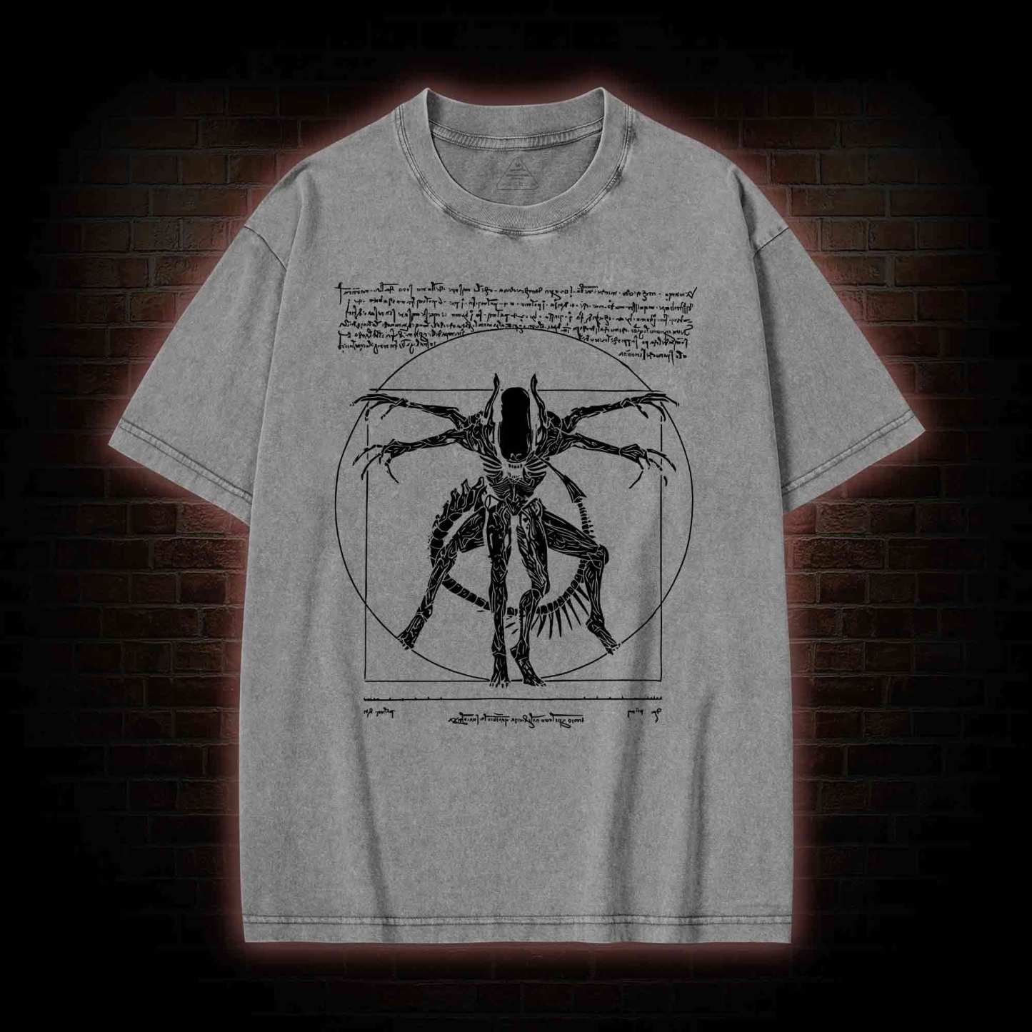 Alien Washed T-shirt