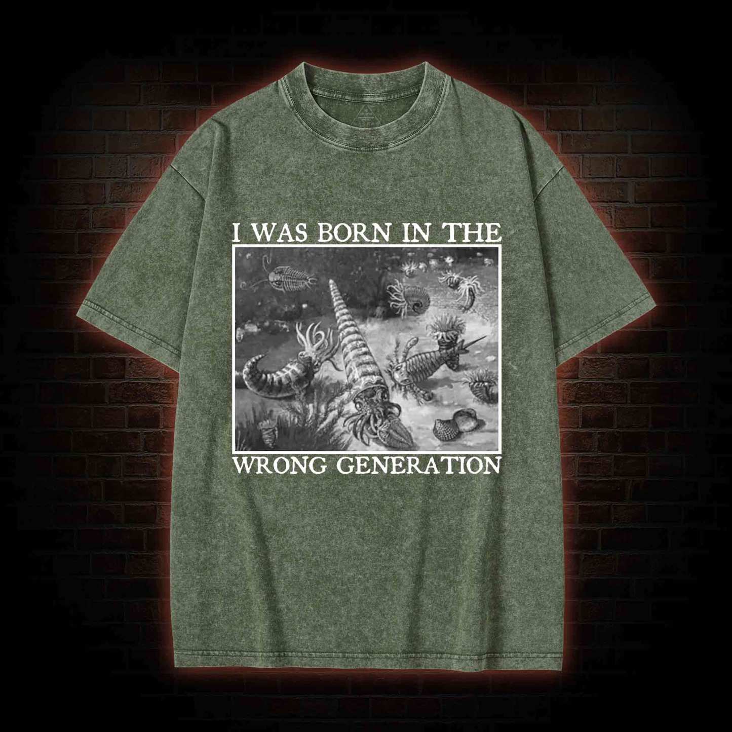 I Was Born In The Wrong Generation Washed T-shirt