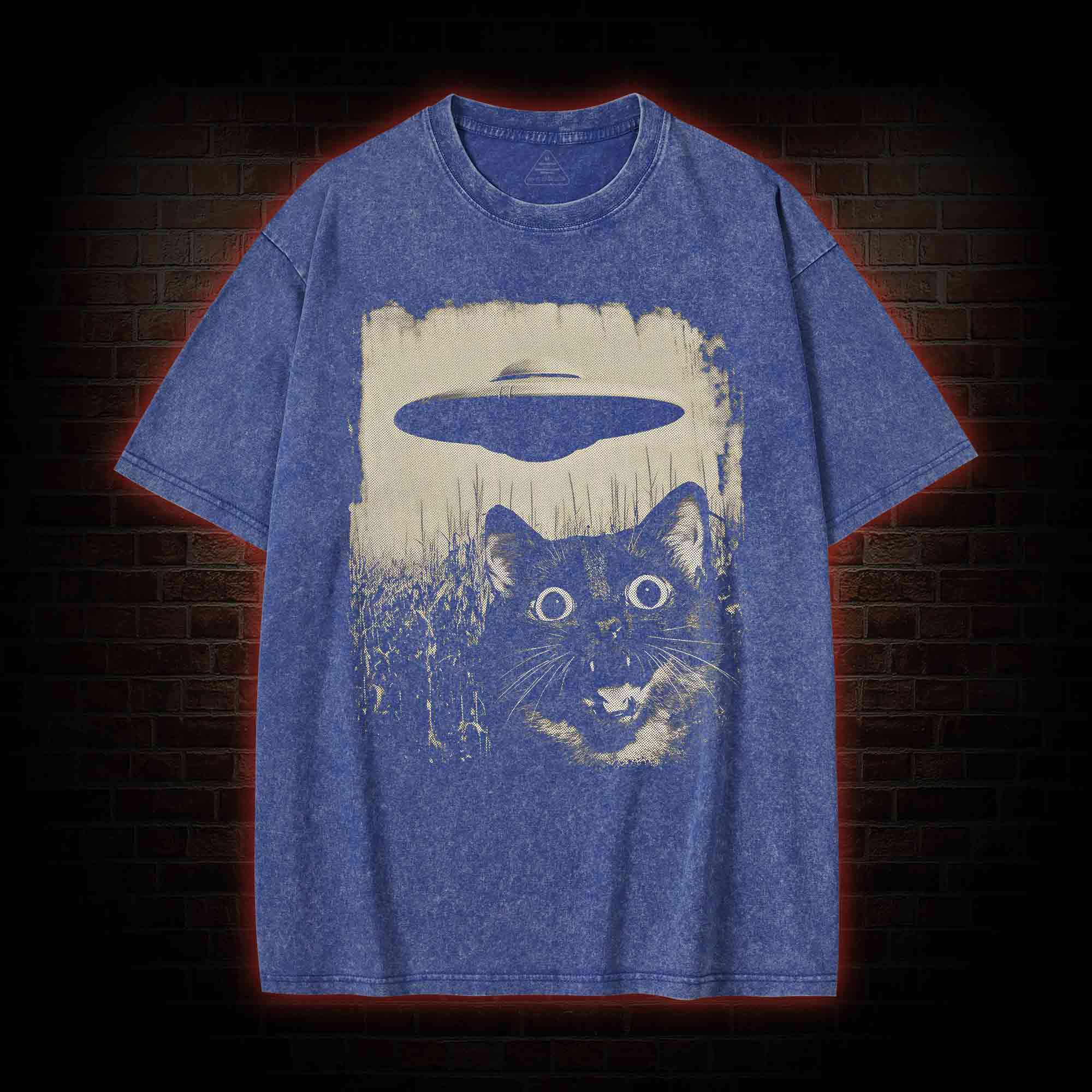 UFO & Cat Washed T-shirt