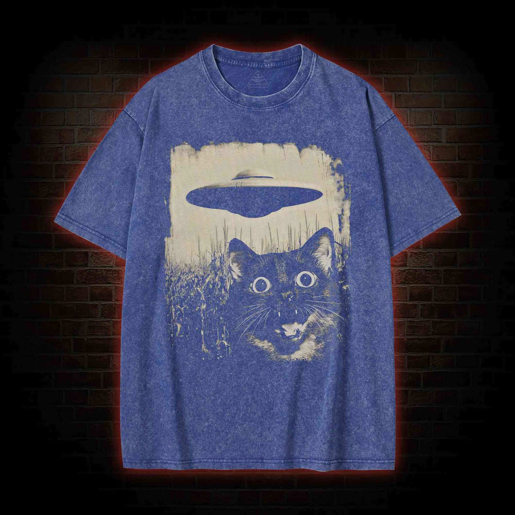UFO & Cat Washed T-shirt