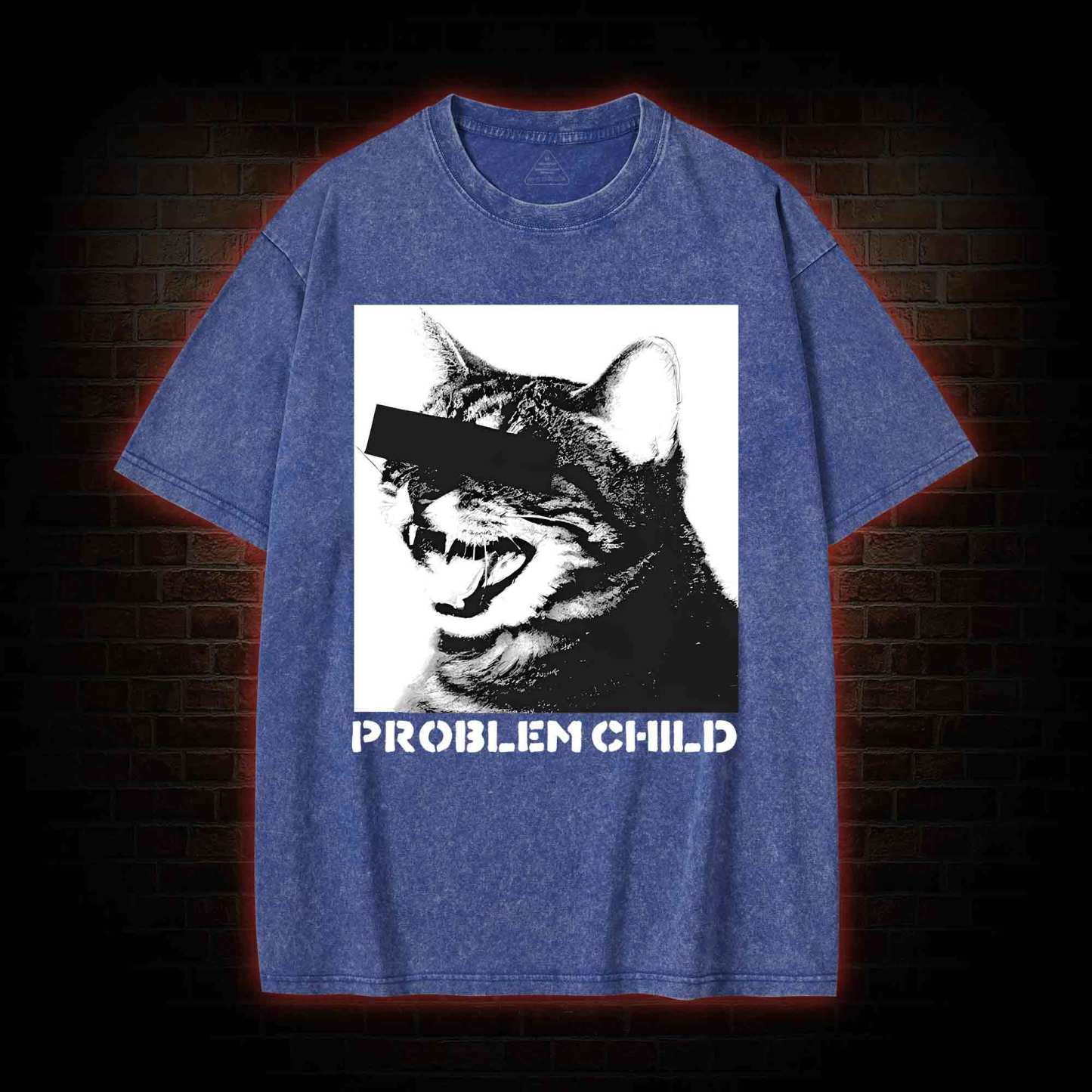 Problem Child Cat Washed T-shirt