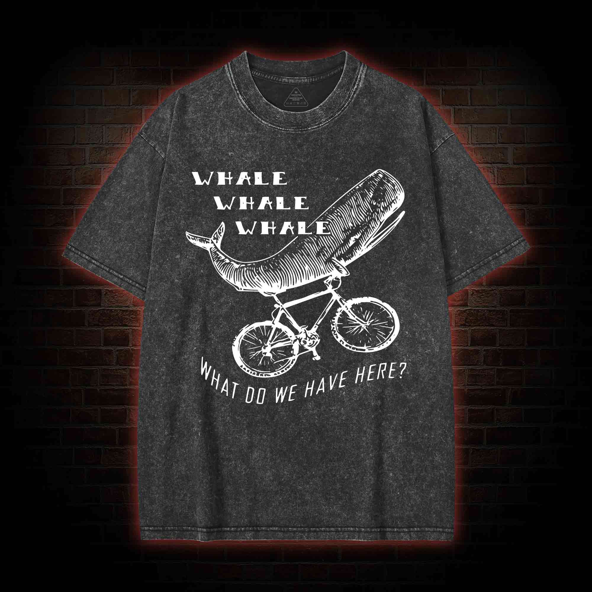 What Do We Have Here? Washed T-shirt