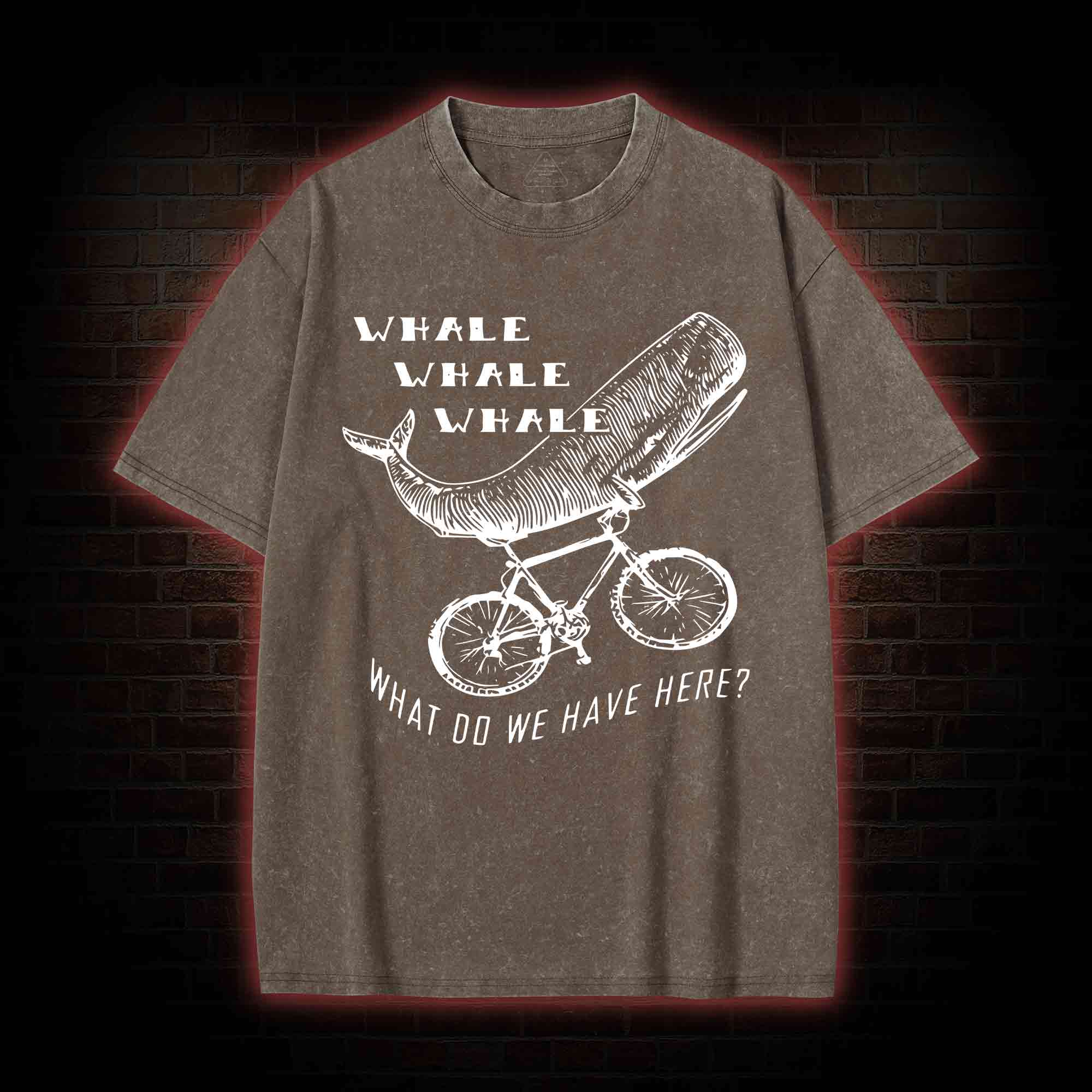 What Do We Have Here? Washed T-shirt