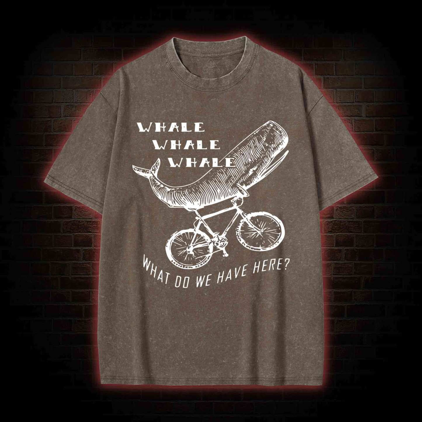 What Do We Have Here? Washed T-shirt