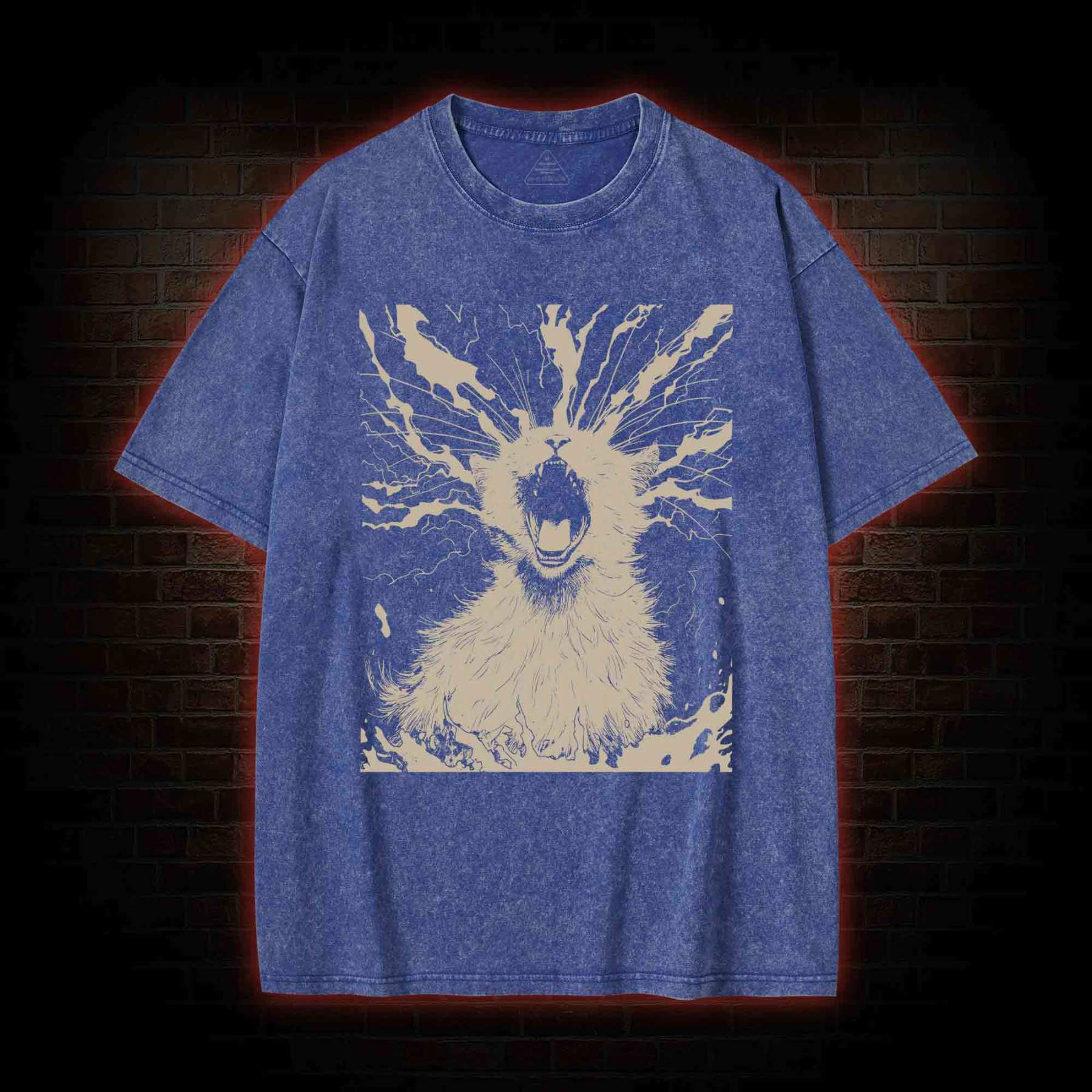 Black Cat Aether Washed T-shirt