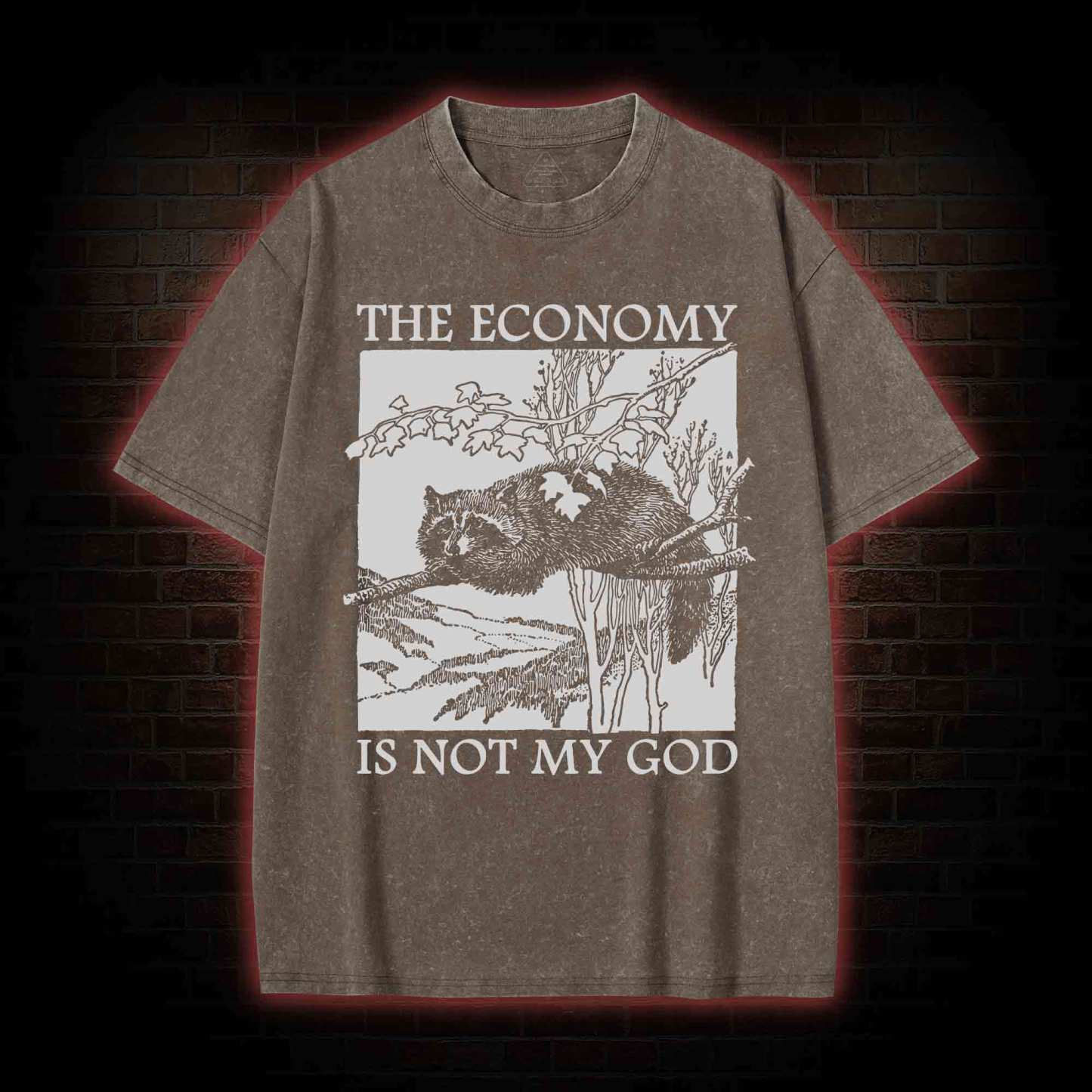 The Economy Is Not My God Washed T-Shirt