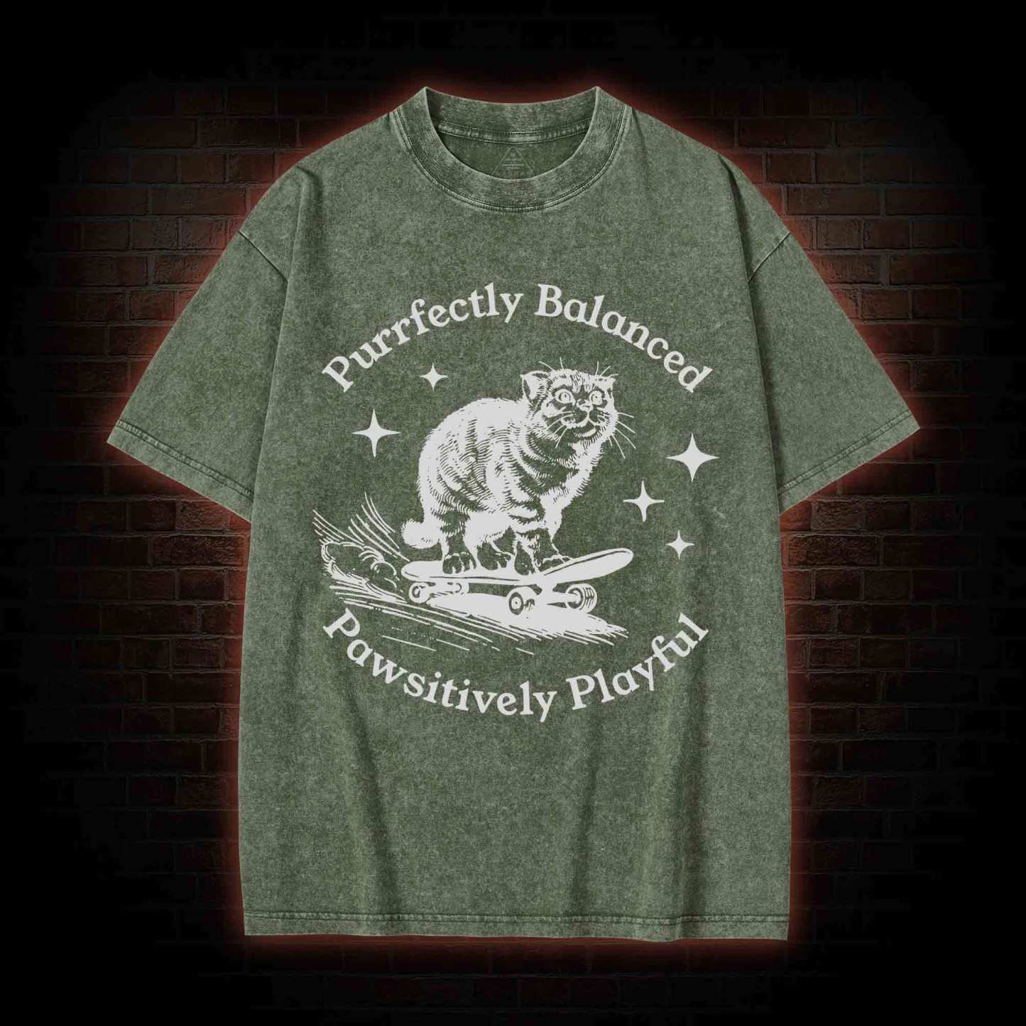 Purrfectly Balanced Washed T-shirt