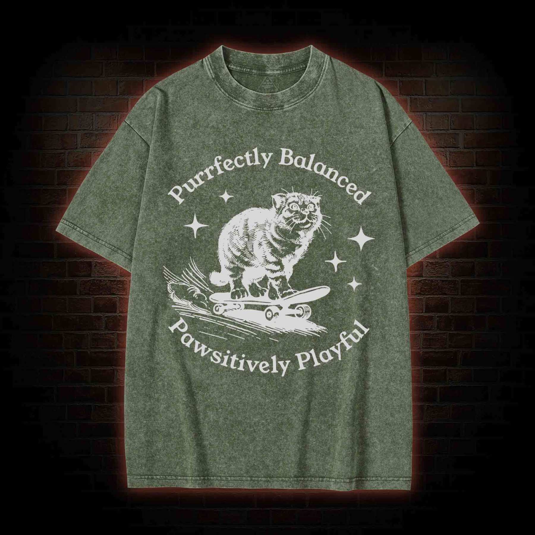 Purrfectly Balanced Washed T-shirt