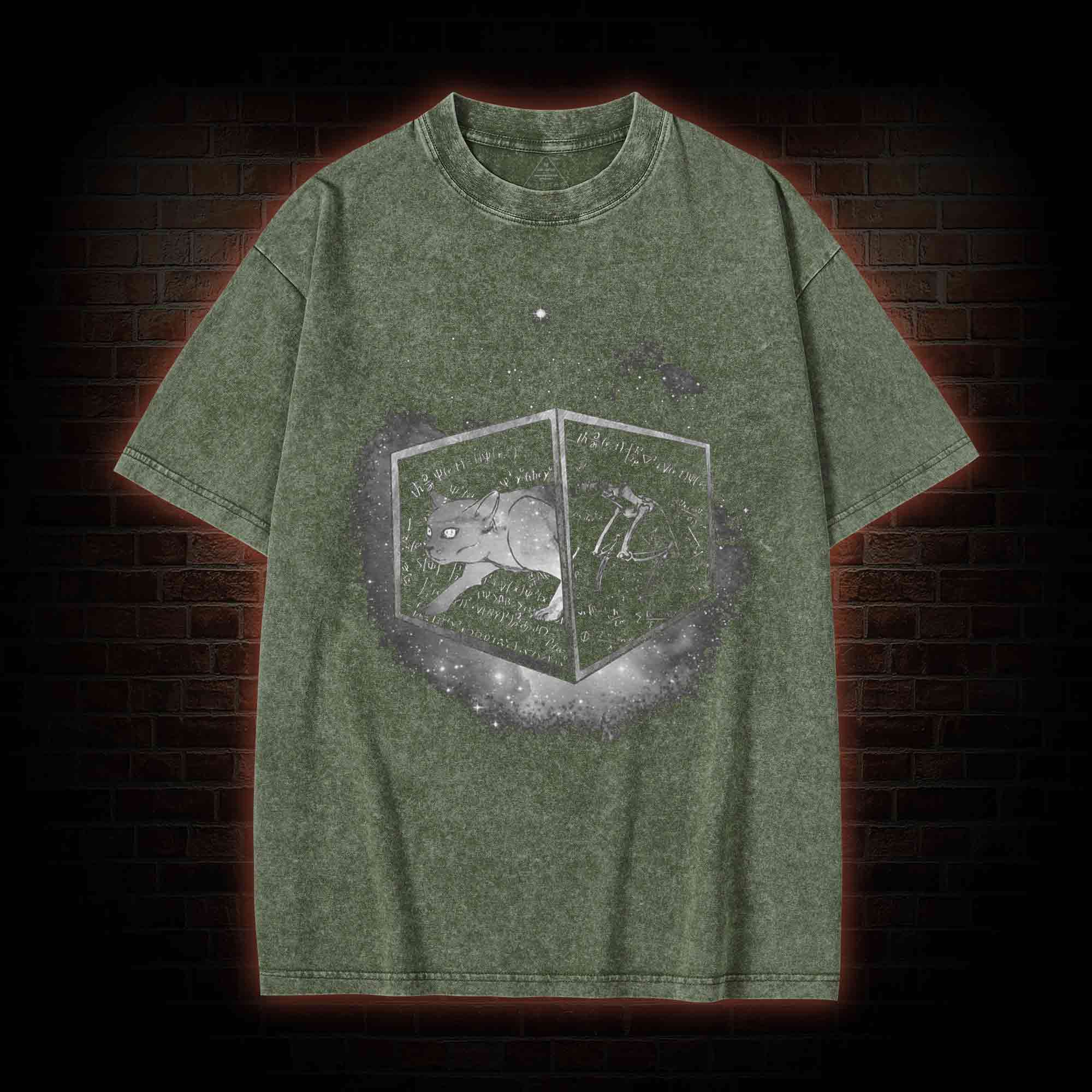 Schrodinger's Cat Washed T-shirt