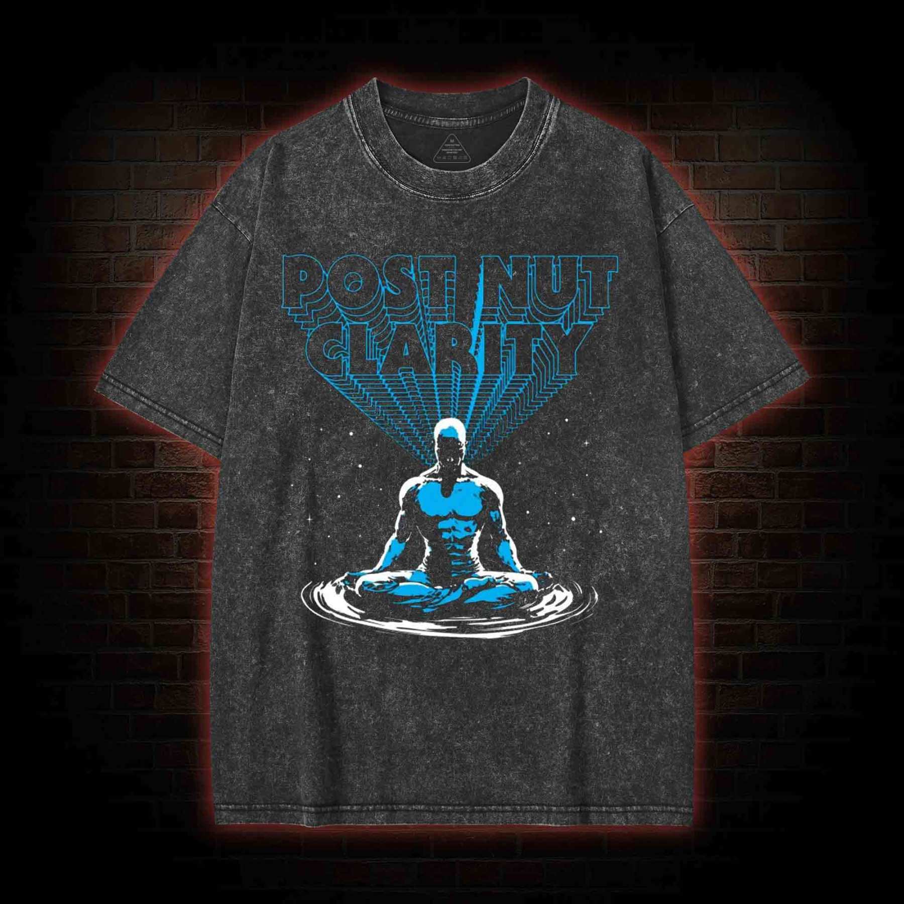 Post Nut Clarity Washed T-shirt
