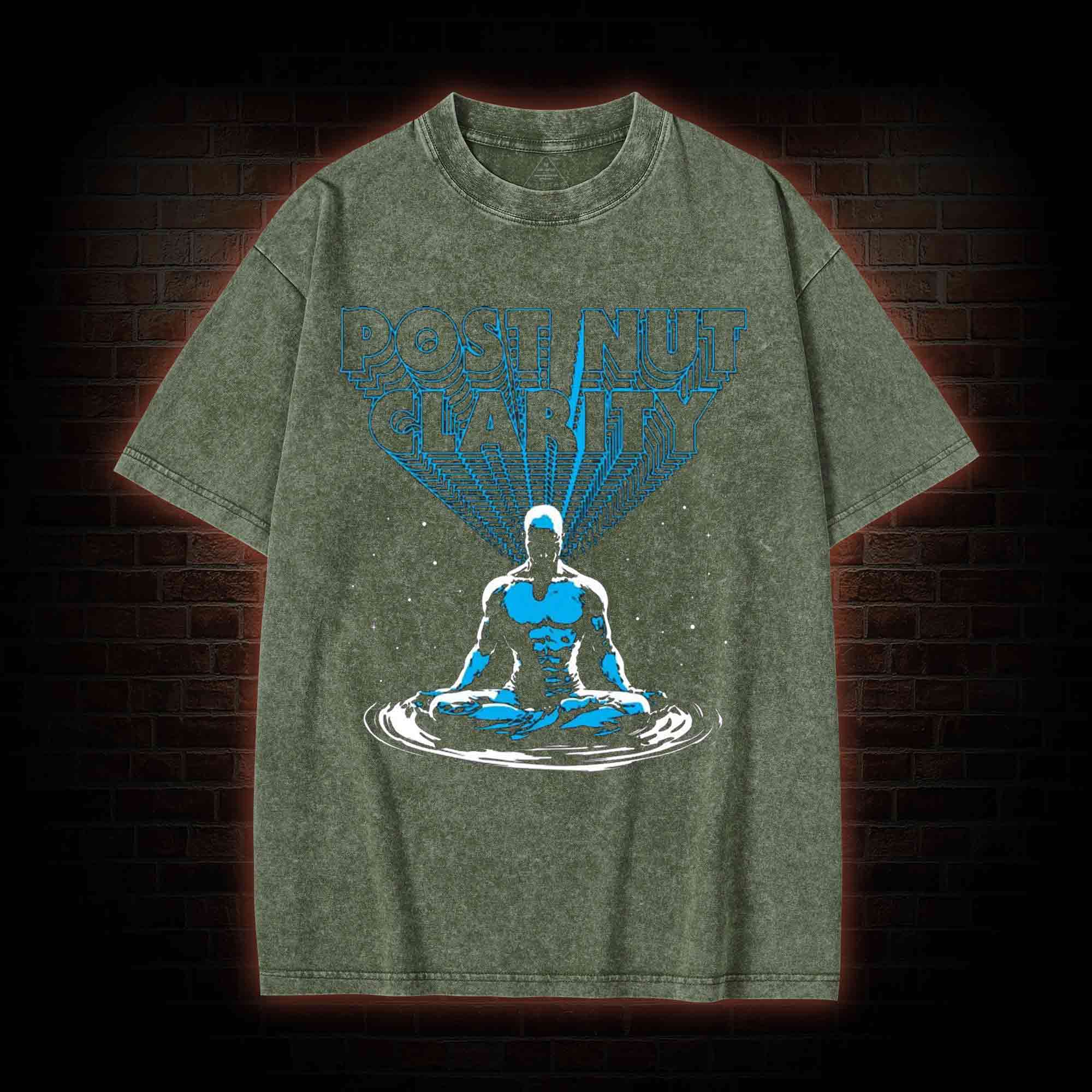 Post Nut Clarity Washed T-shirt