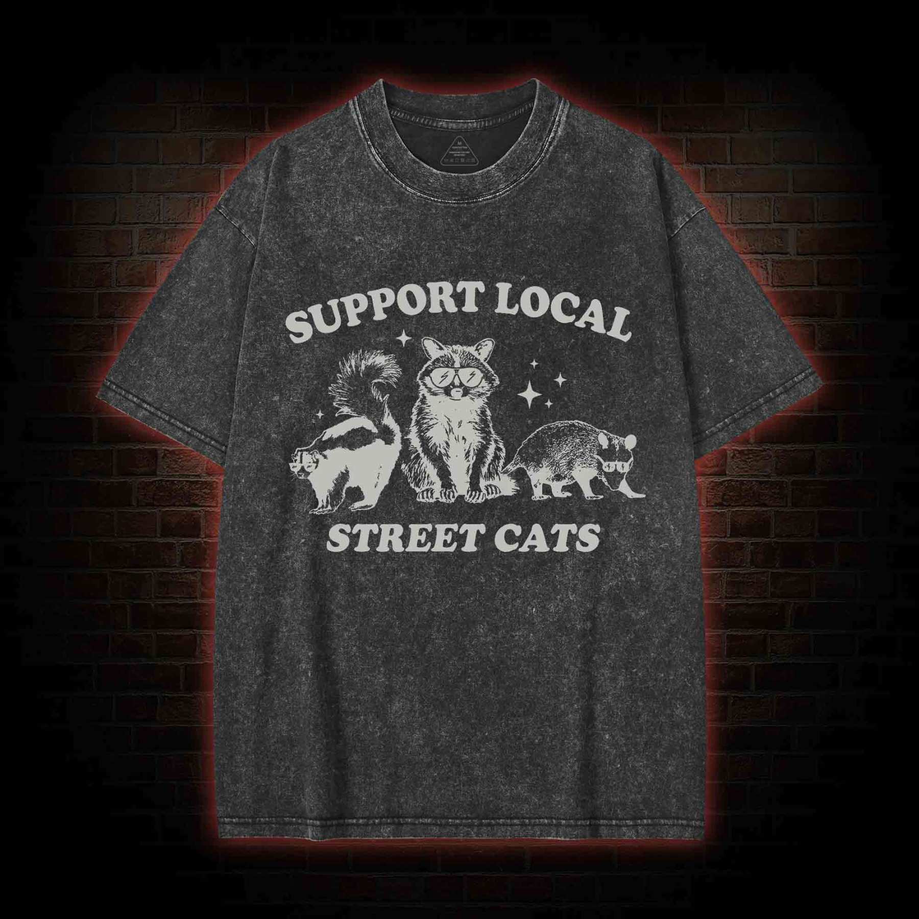 Support Local Street Cats Washed T-shirt