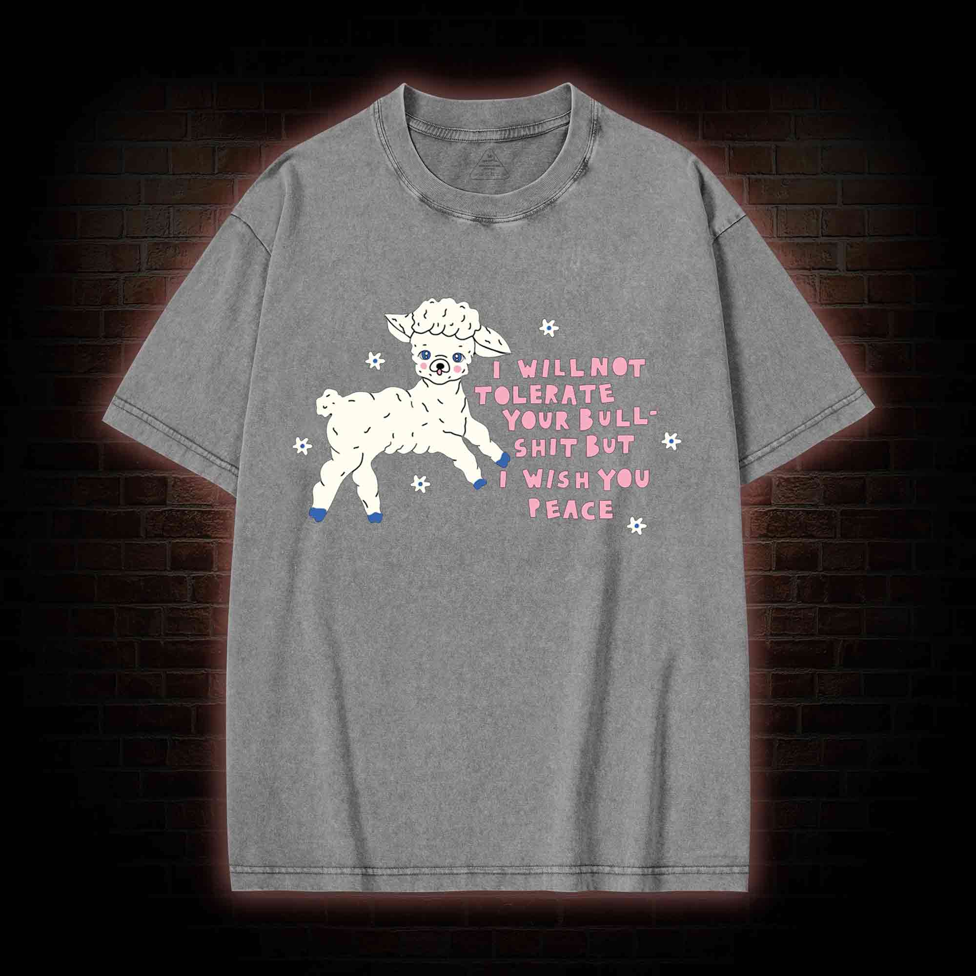 I Wish You Peace Washed T-shirt